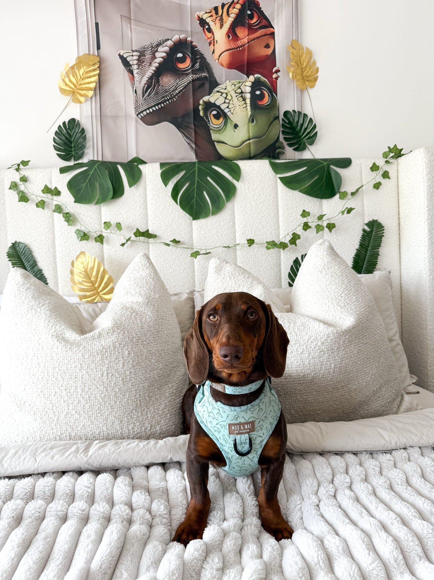 ‘Fossil & Fern’ Adjustable Harness