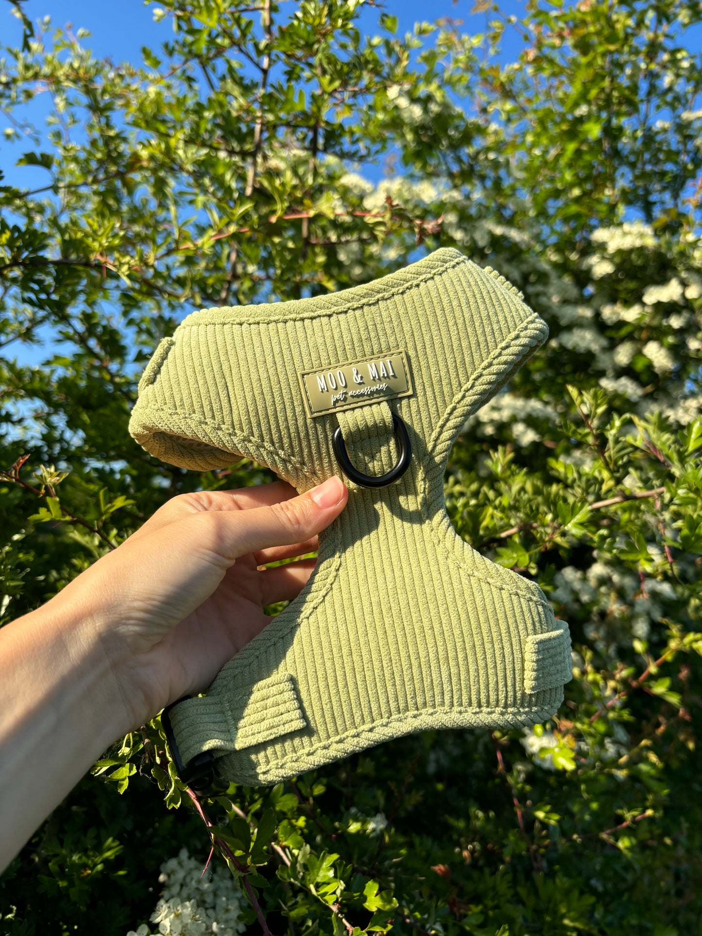 ‘Pistachio Paws’ - Adjustable Harness