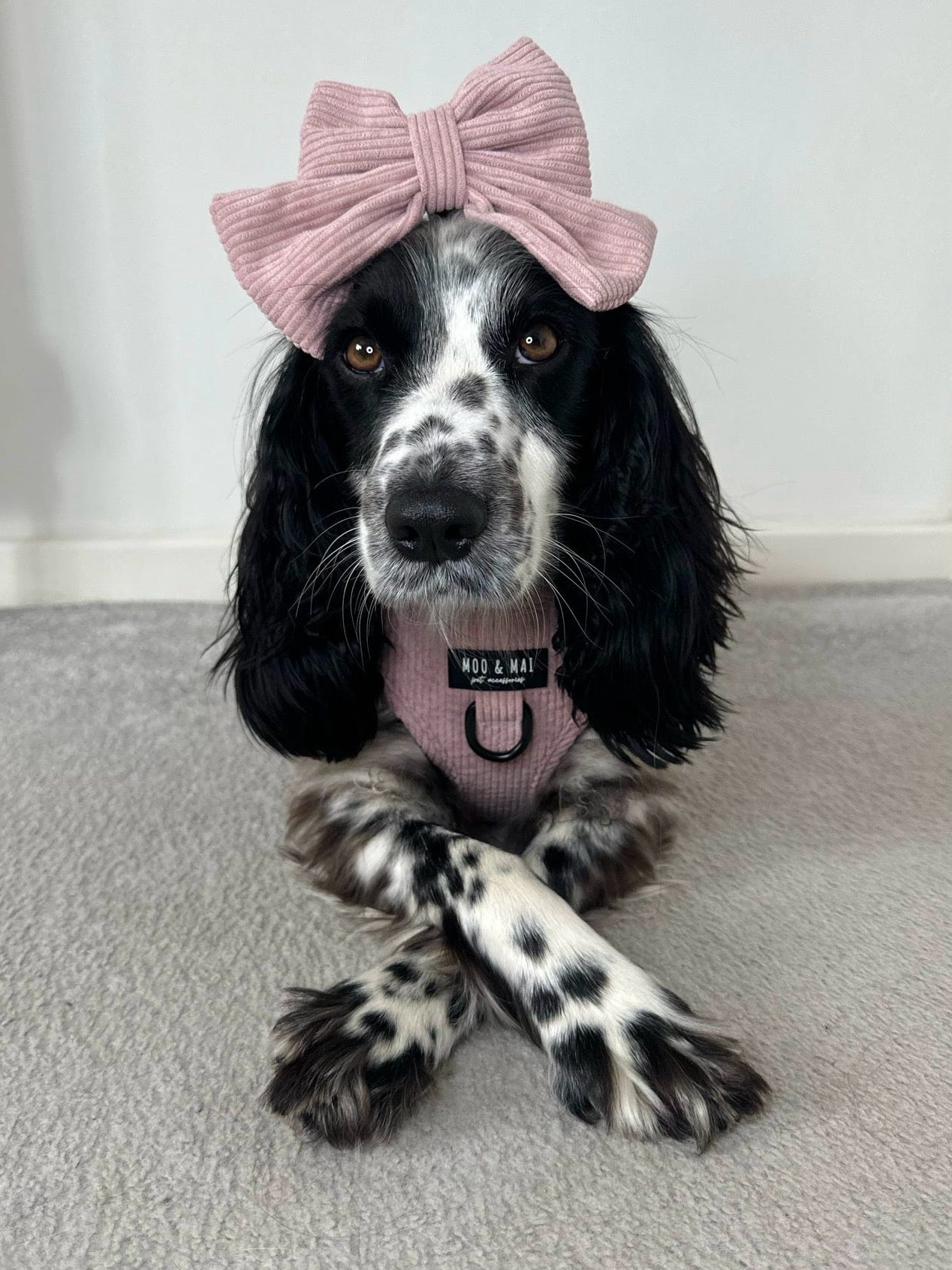 ‘Sunkissed Pink’ Sailor Bow