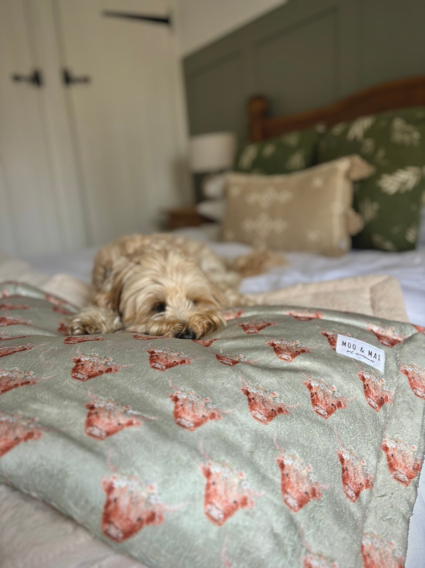 ‘Milo Moo’ Sherpa Blanket