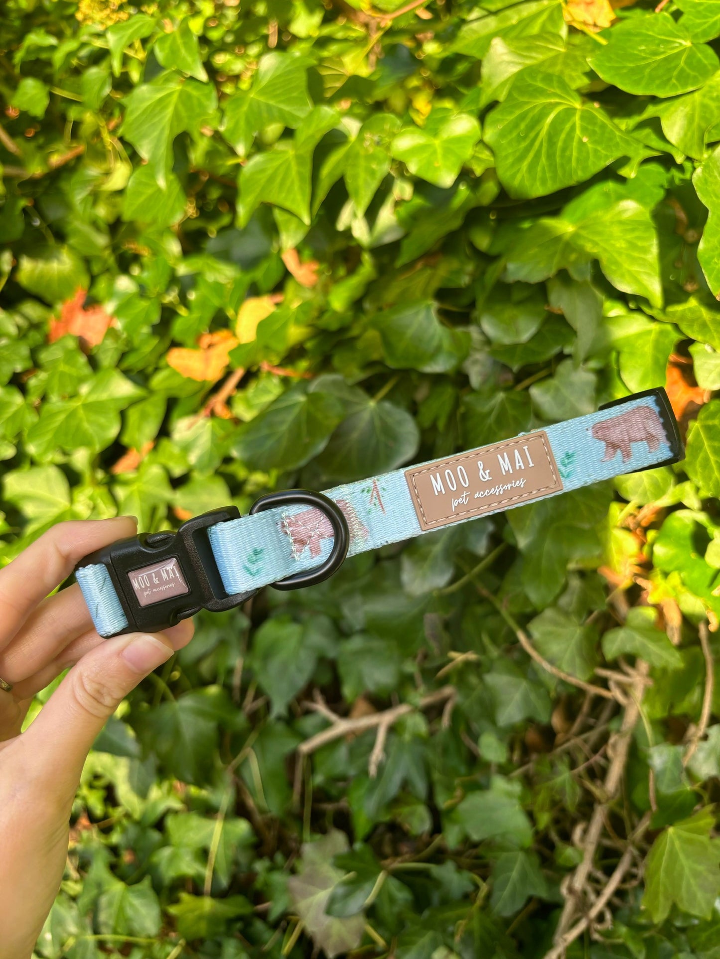 ‘Bear Necessities’ Adjustable Collar