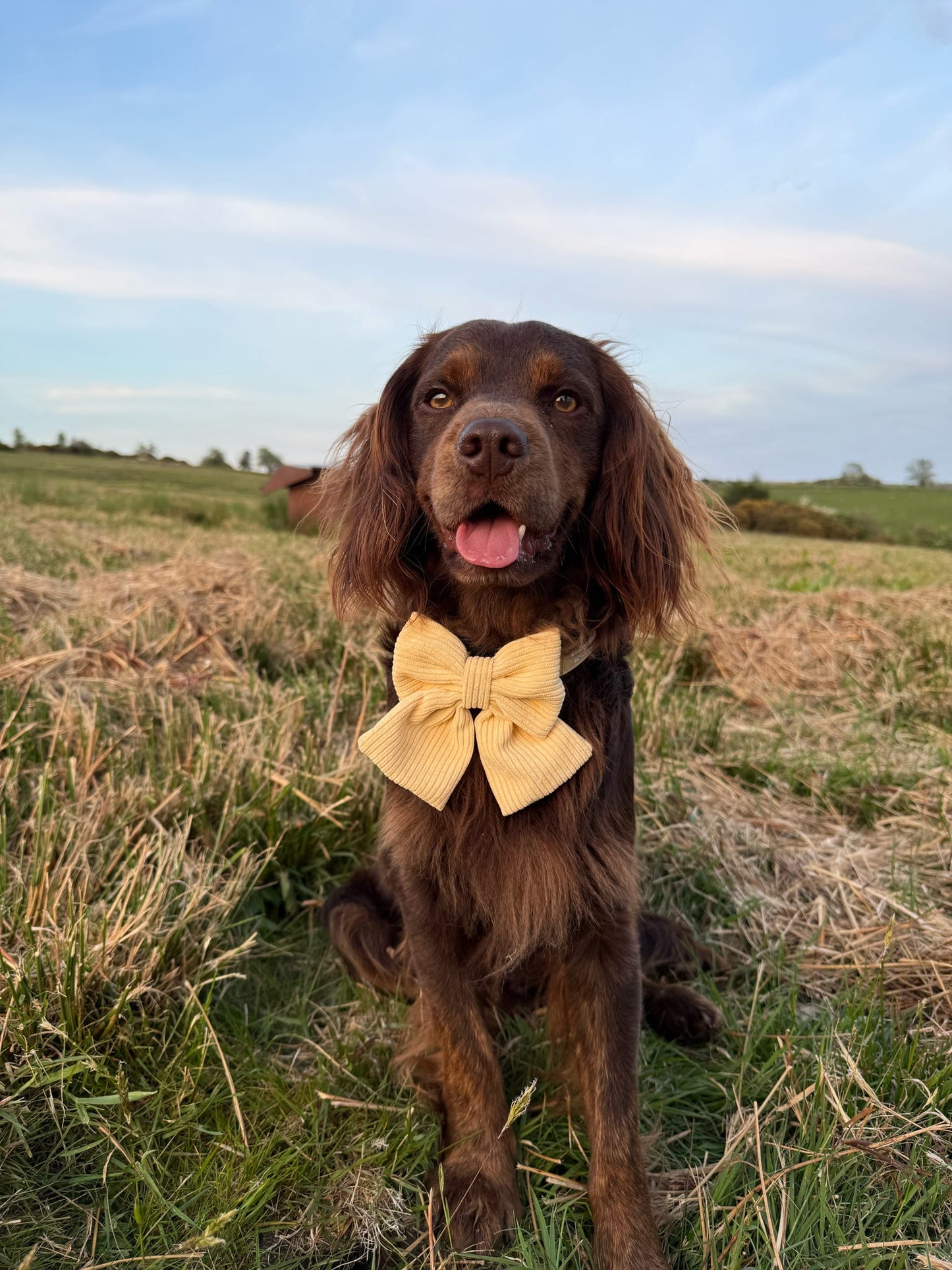 ‘Buttercream Bliss’ Sailor Bow