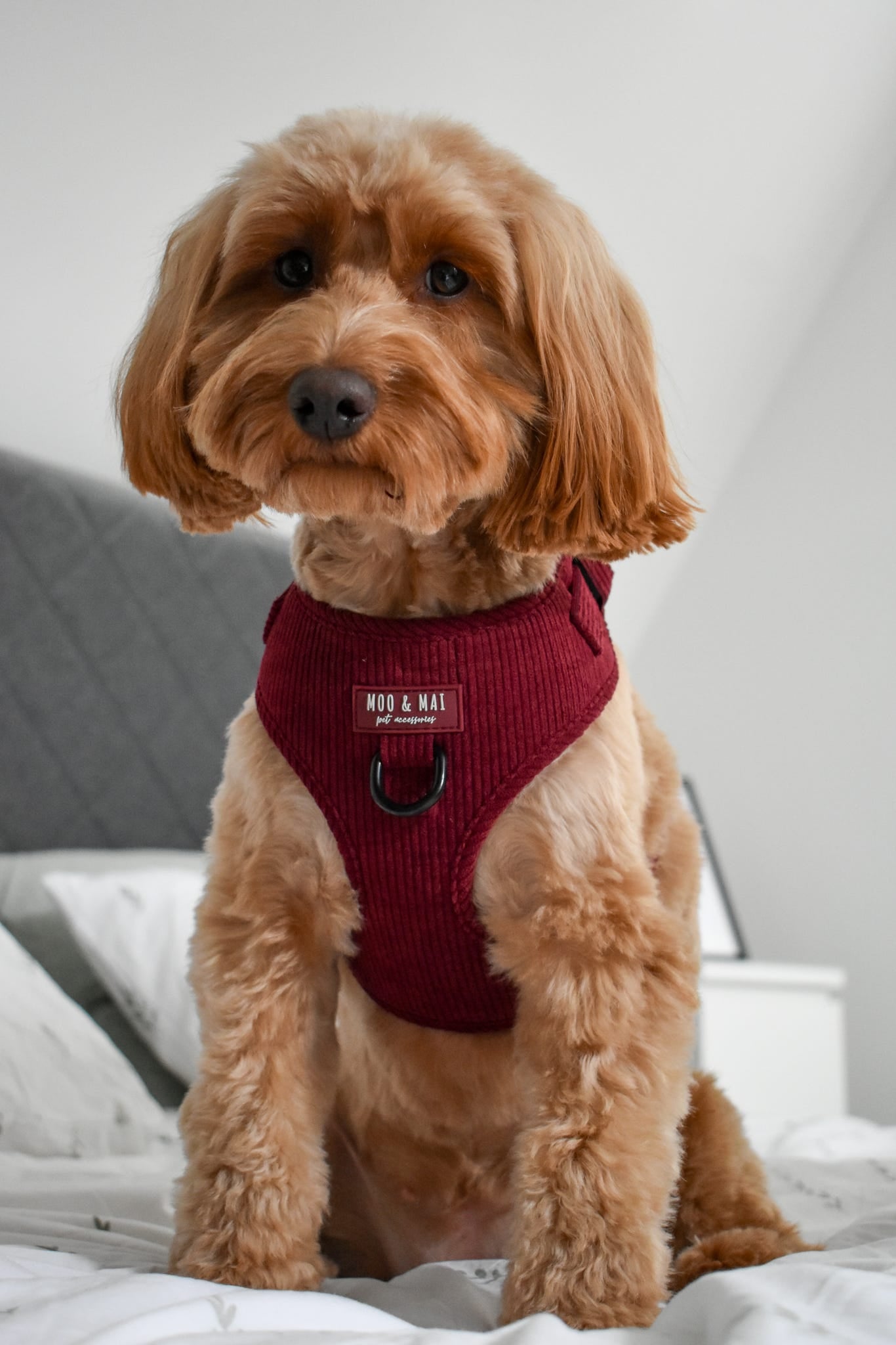 ‘Berry Bramble’ - 3 Piece Walkies Set