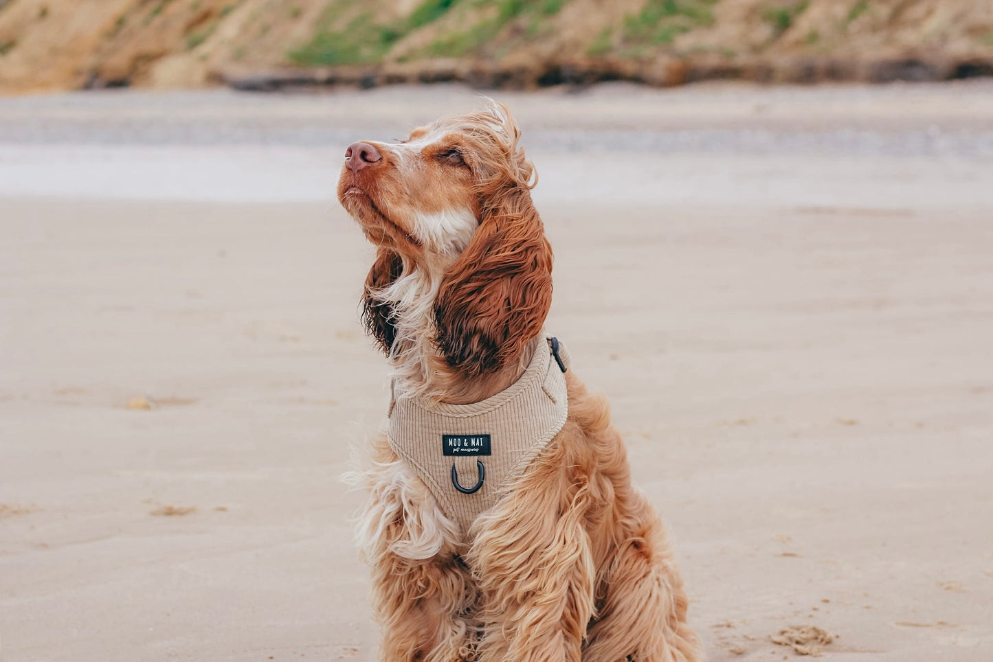 ‘Sandy Shores’ Adjustable Harness
