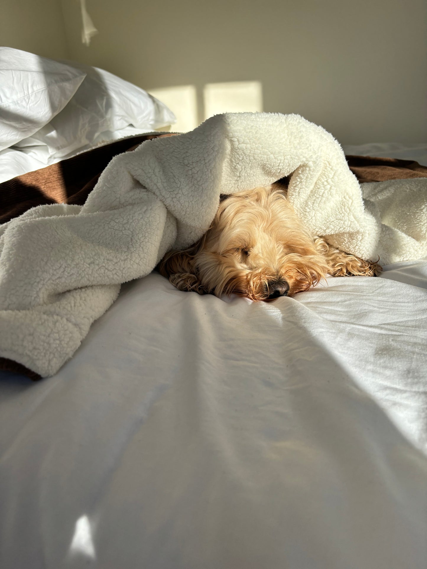 ‘Choc Chip’ Blanket