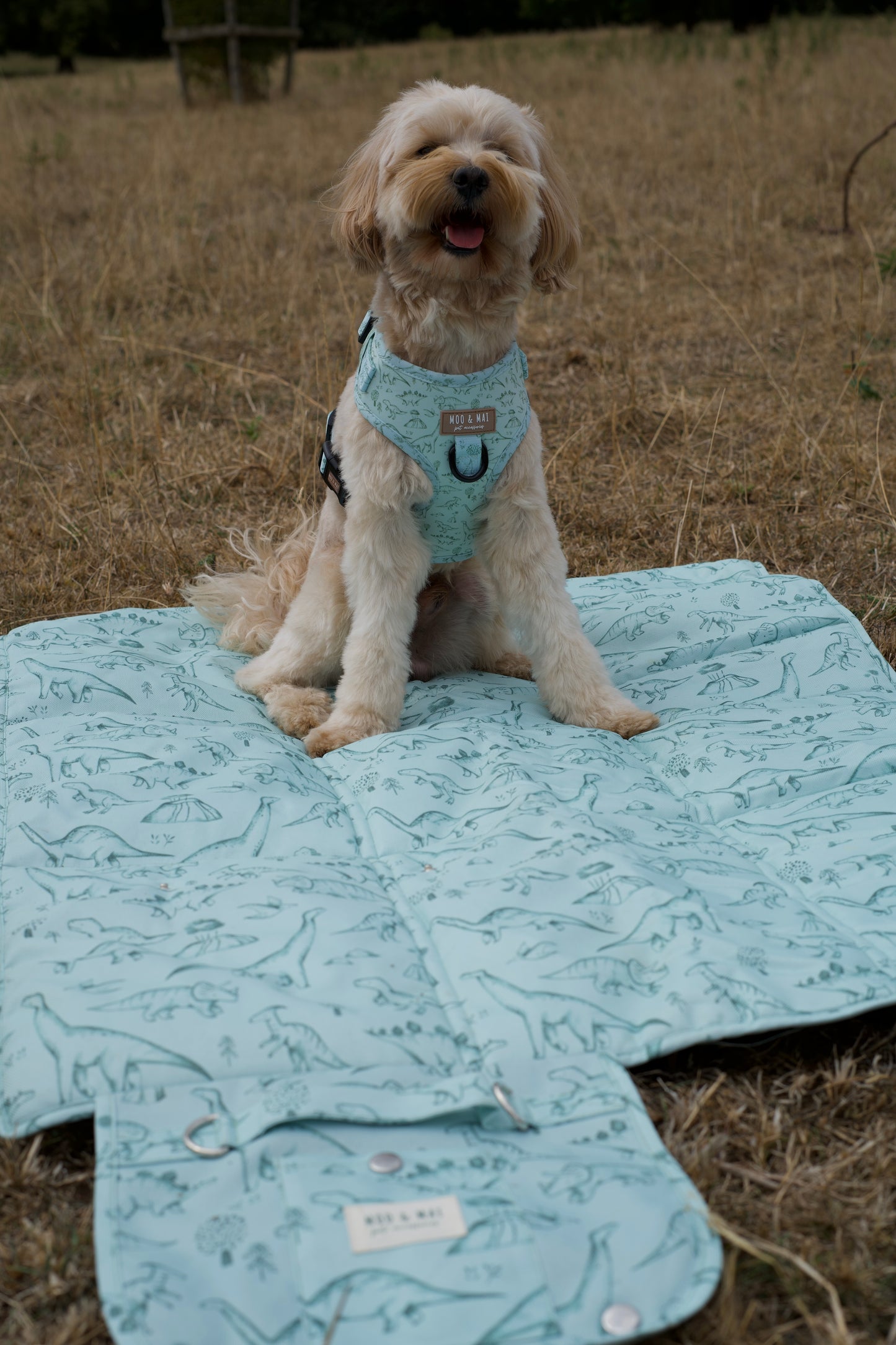 ‘Fossil & Fern’ Settle/ Travel Mat