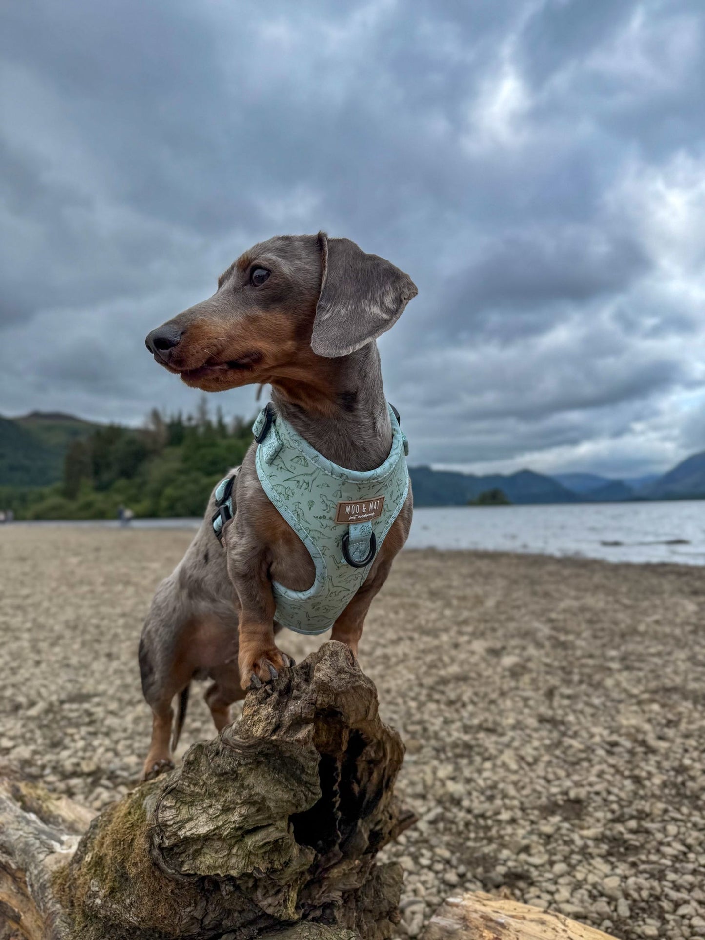 ‘Fossil & Fern’ Adjustable Harness