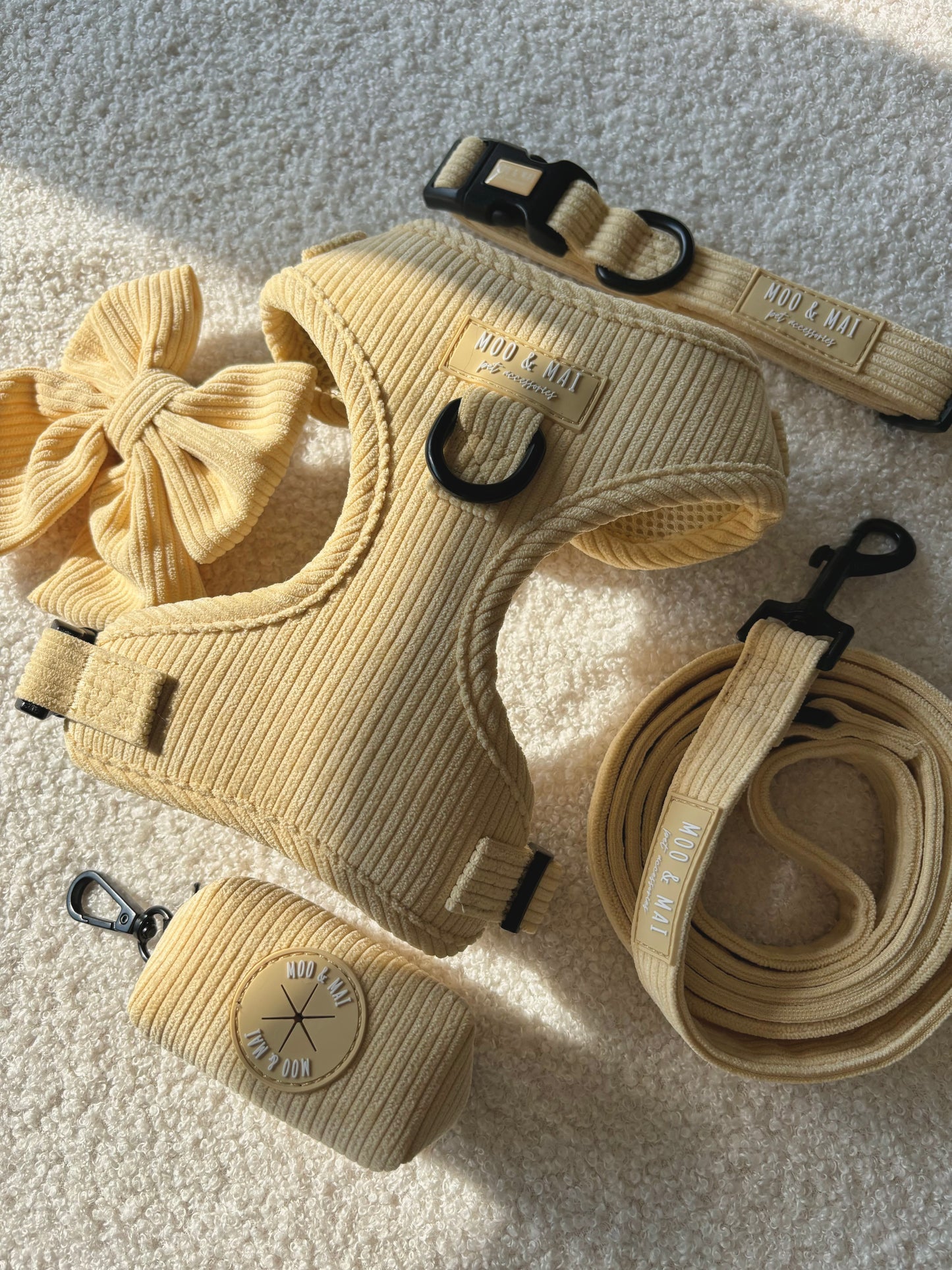 ‘Buttercream Bliss’ 5 Piece Ultimate Walkies Bundle