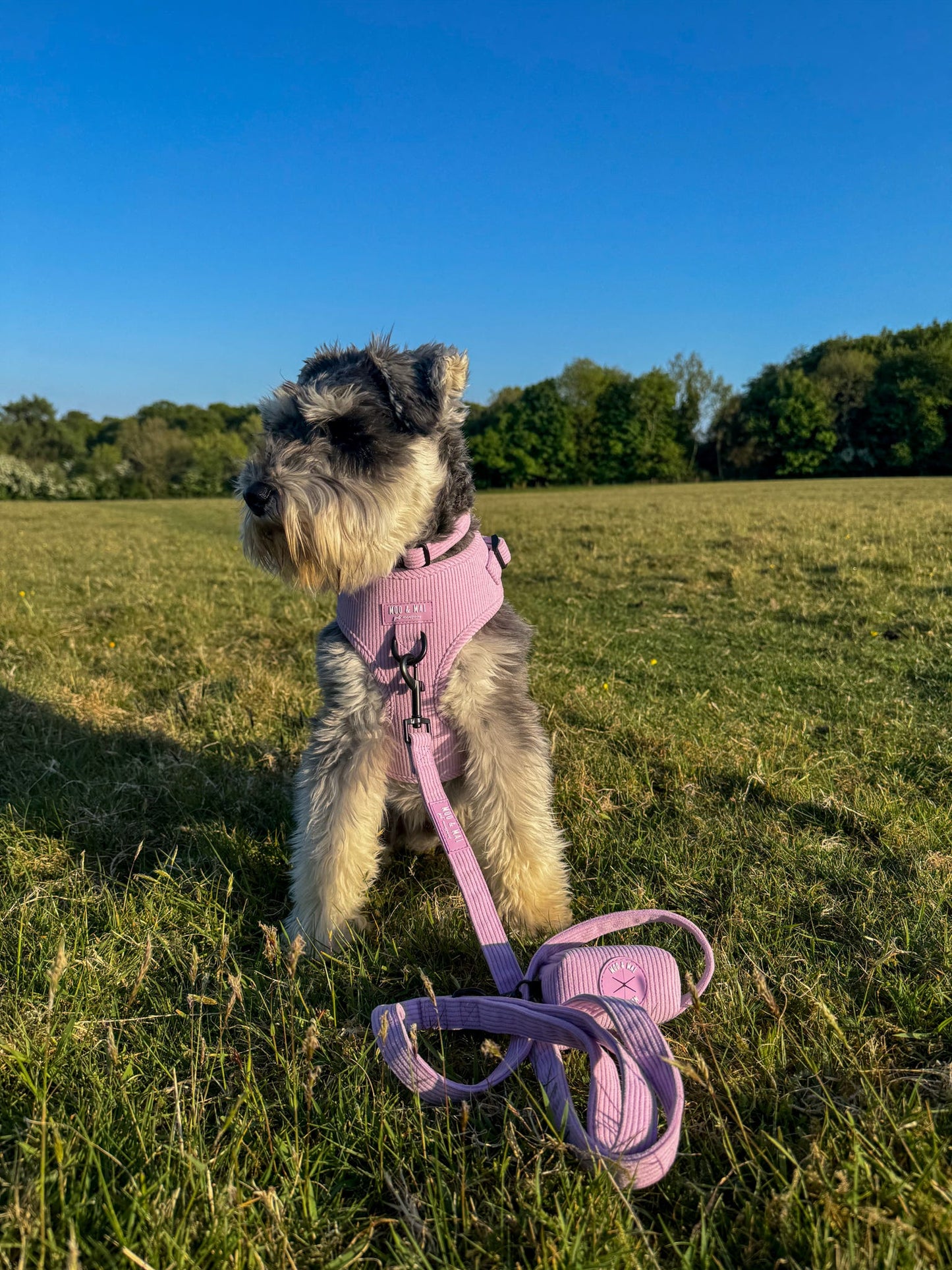 ‘Lavender Daze’ 3 Piece Walkies Essential Set
