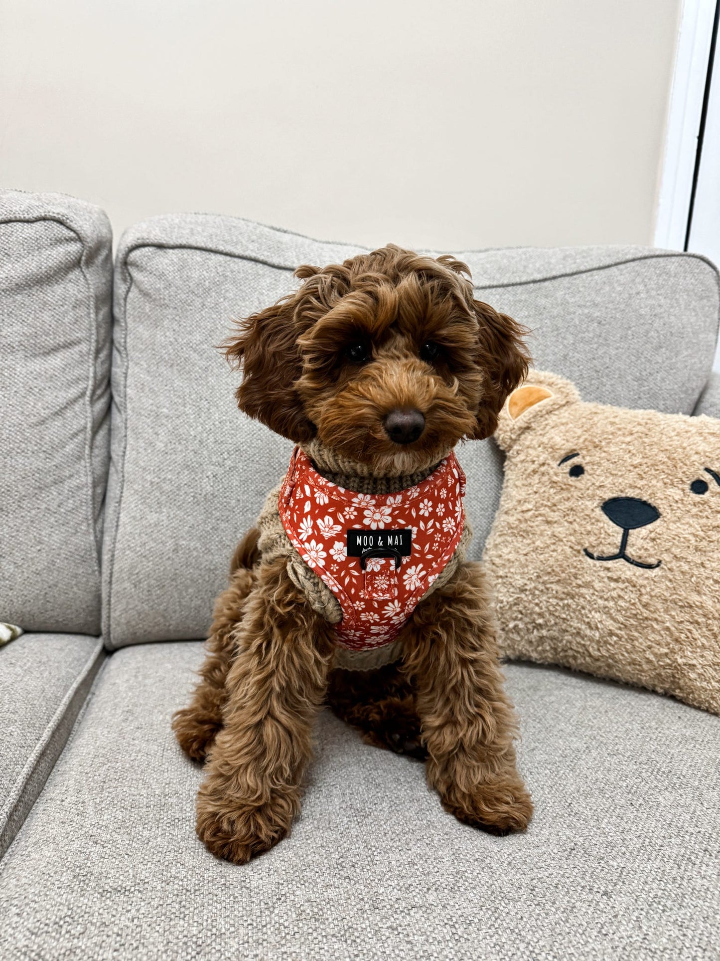"Autumn Blooms" Adjustable Harness