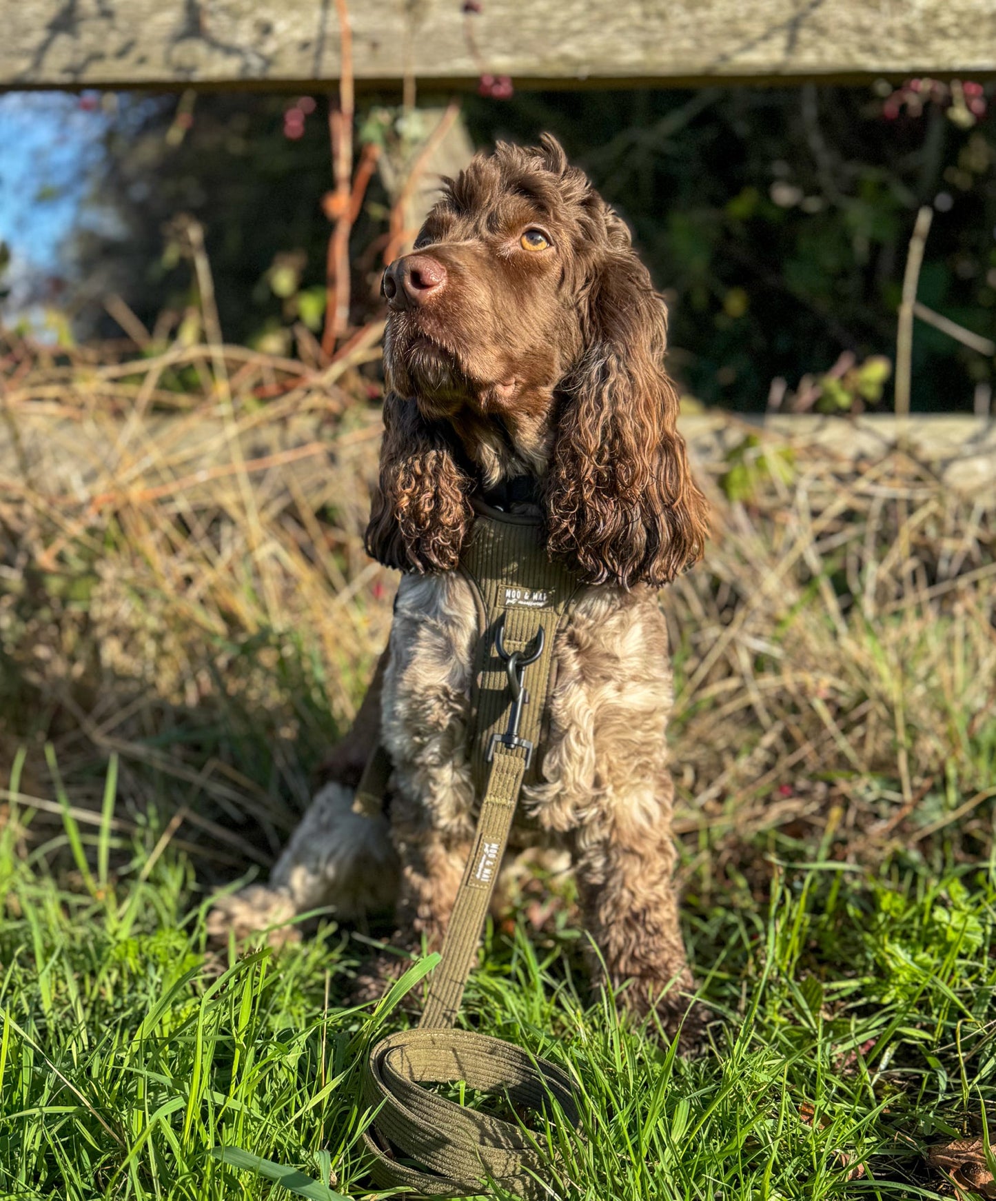 ‘Olive Branch’ 3 Piece Essentials Walkies Bundle