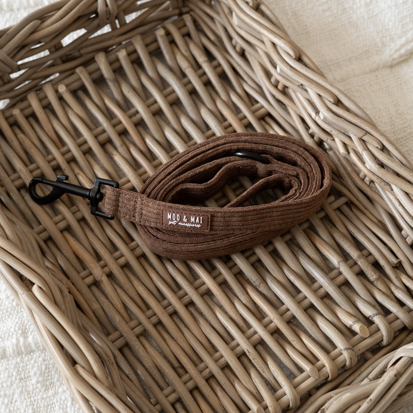 ‘Choc Chip’ Lead