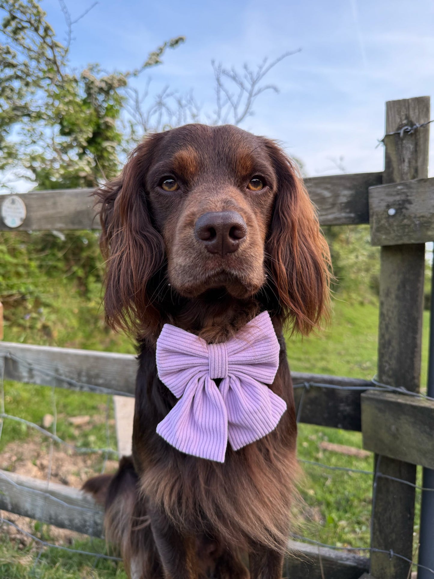 ‘Lavender Daze’ Sailor Bow