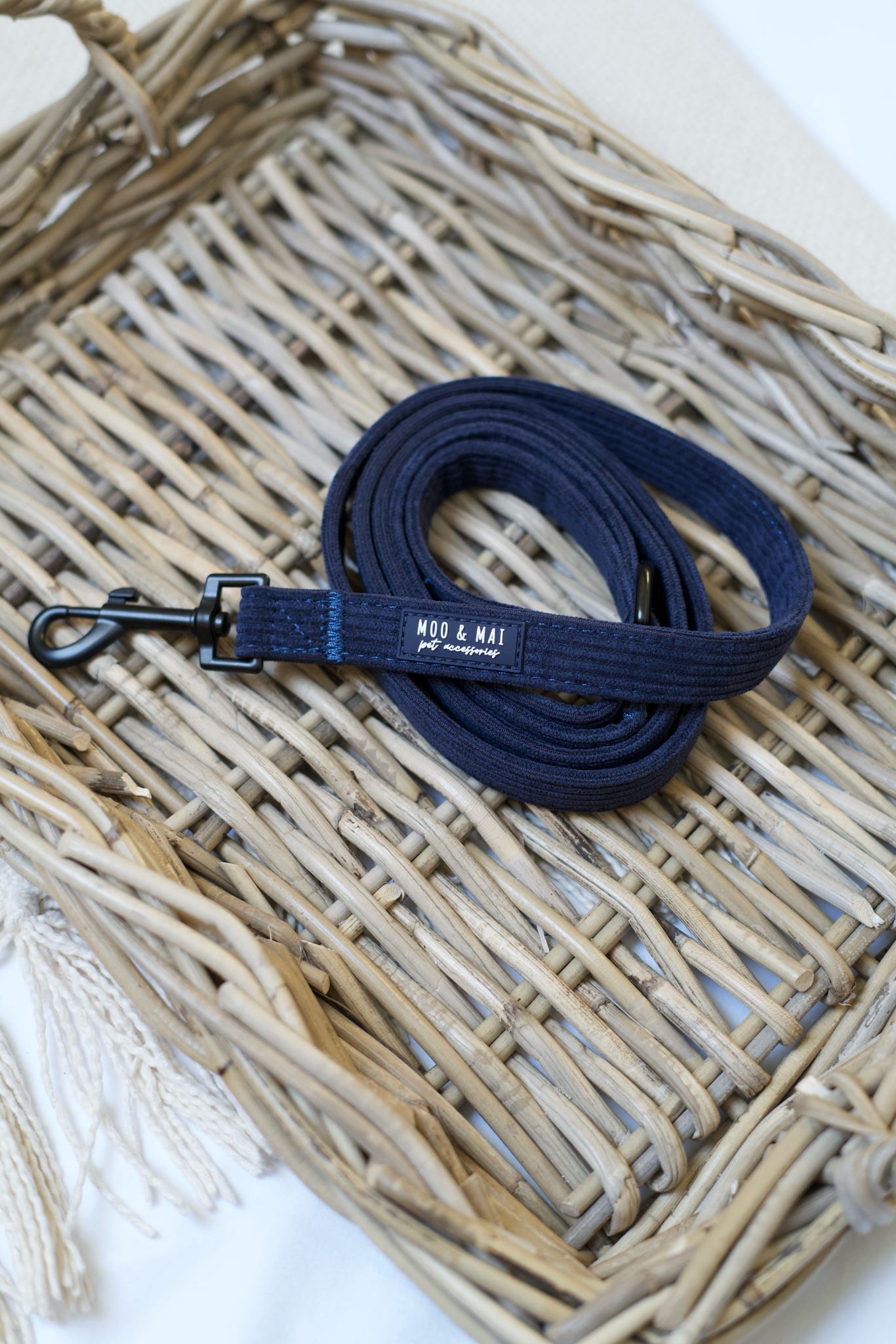 New ‘Navy Noir’ Lead