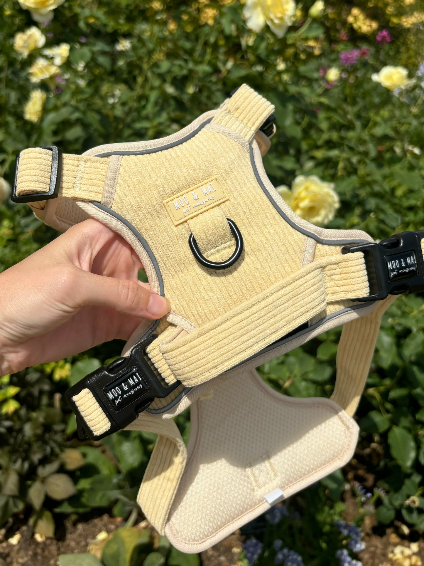 NEW 3 Click Harness - ‘Buttercream Bliss’