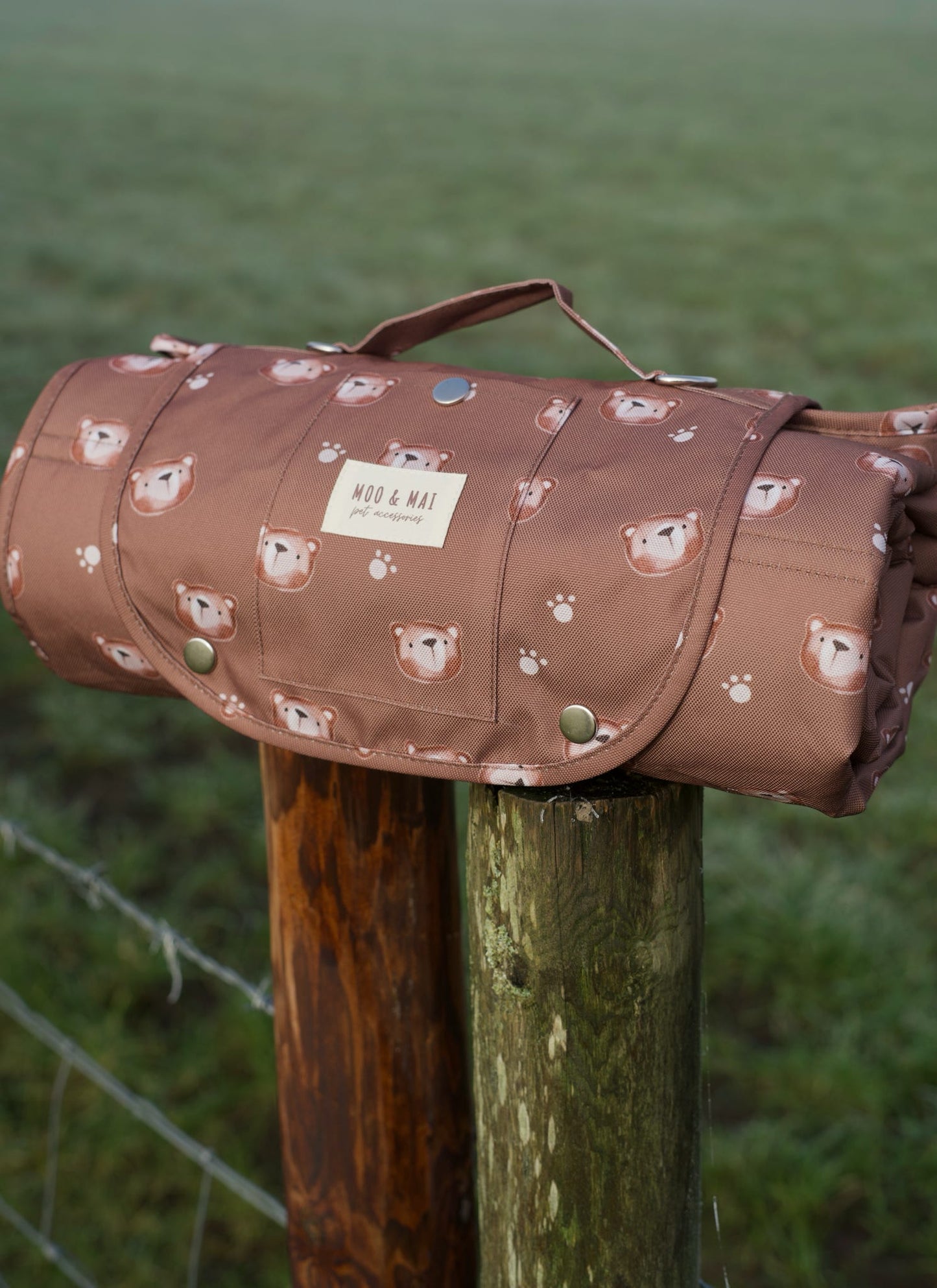 ‘Beary Cute’ Settle/ Travel mat