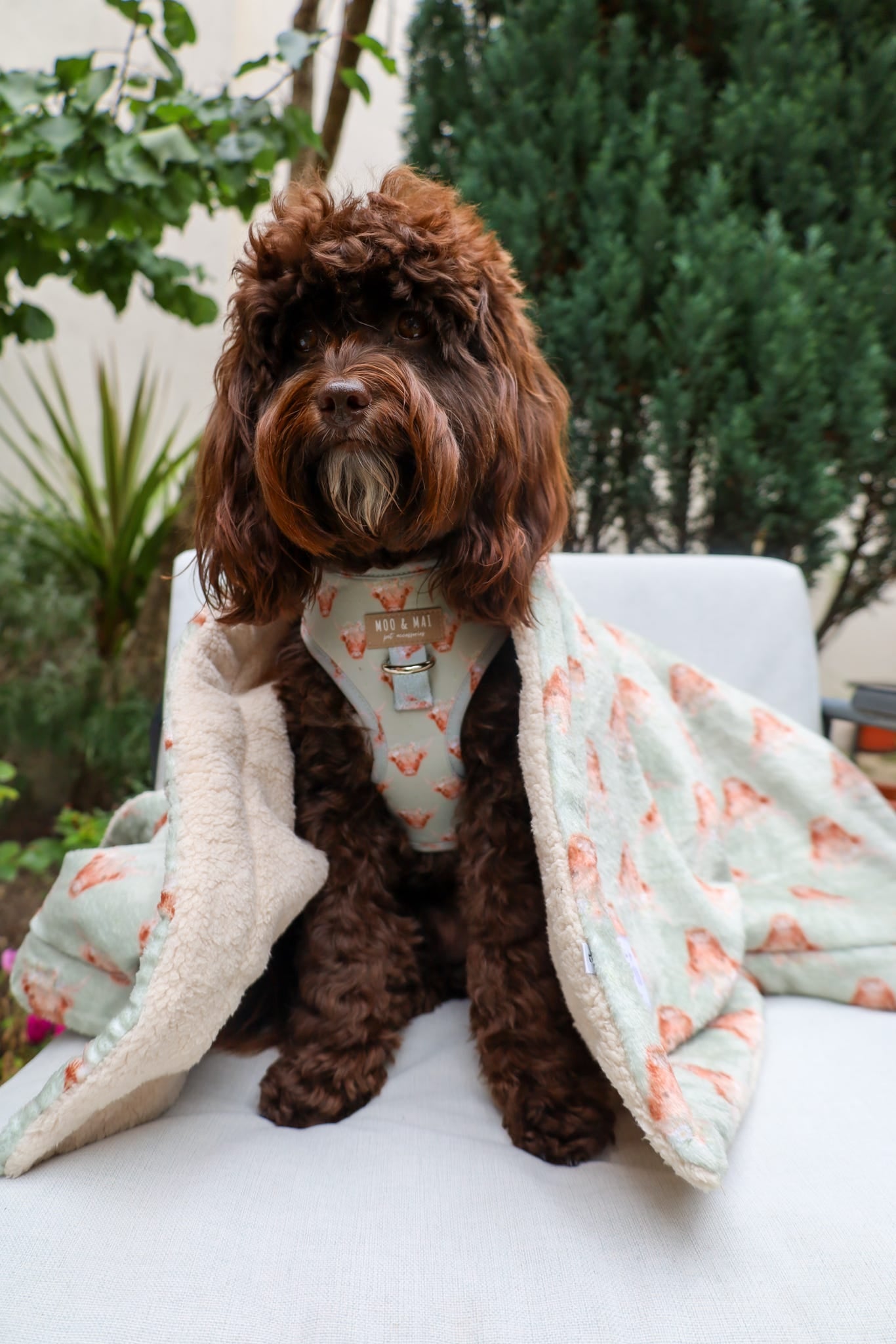 ‘Milo Moo’ Adjustable Harness