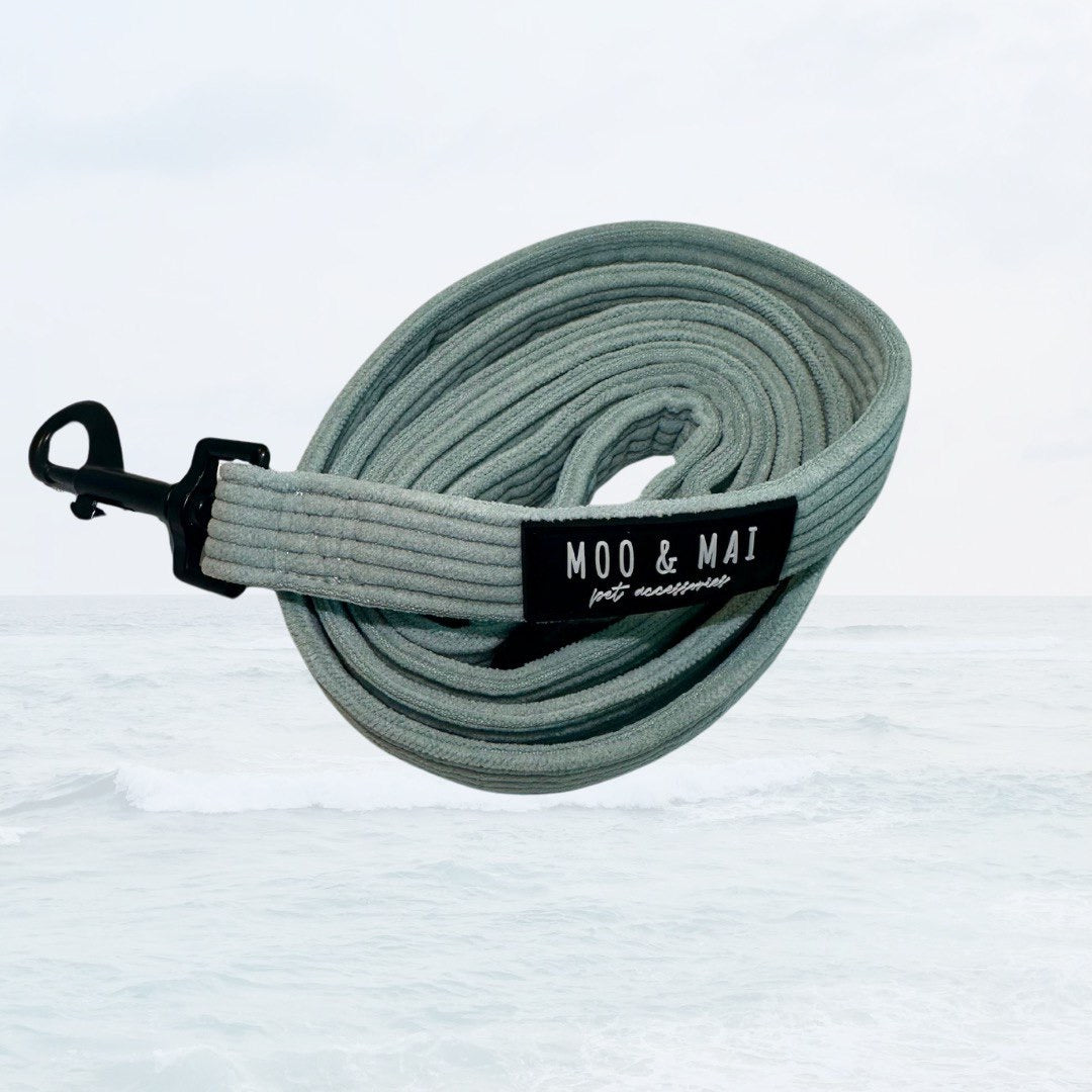 ‘Seafoam Blue’ Lead