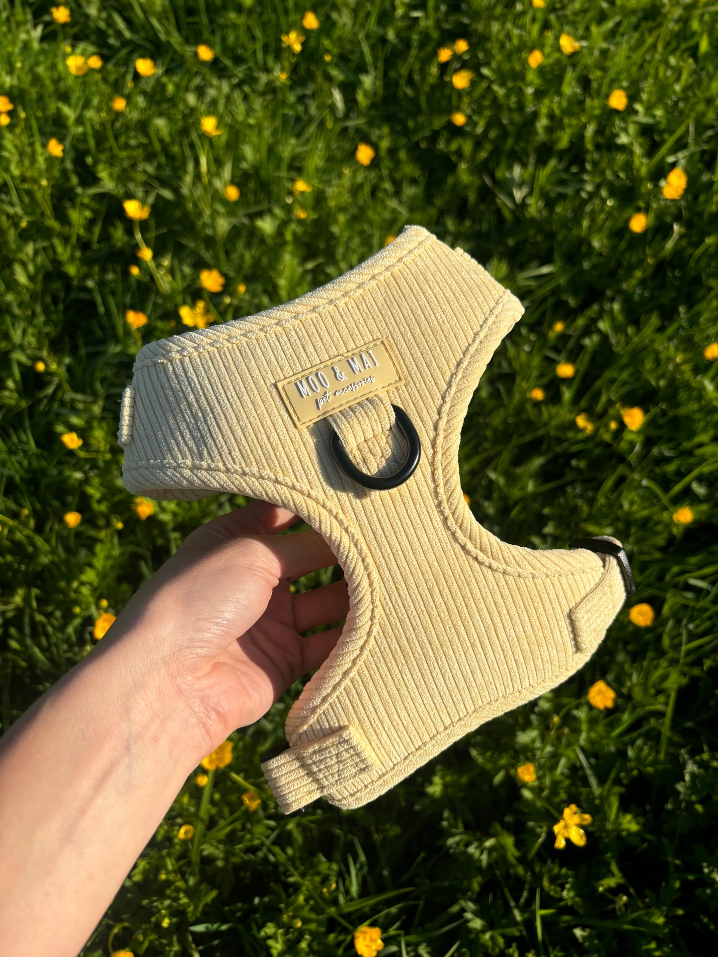 ‘Buttercream Bliss’ - Adjustable Harness