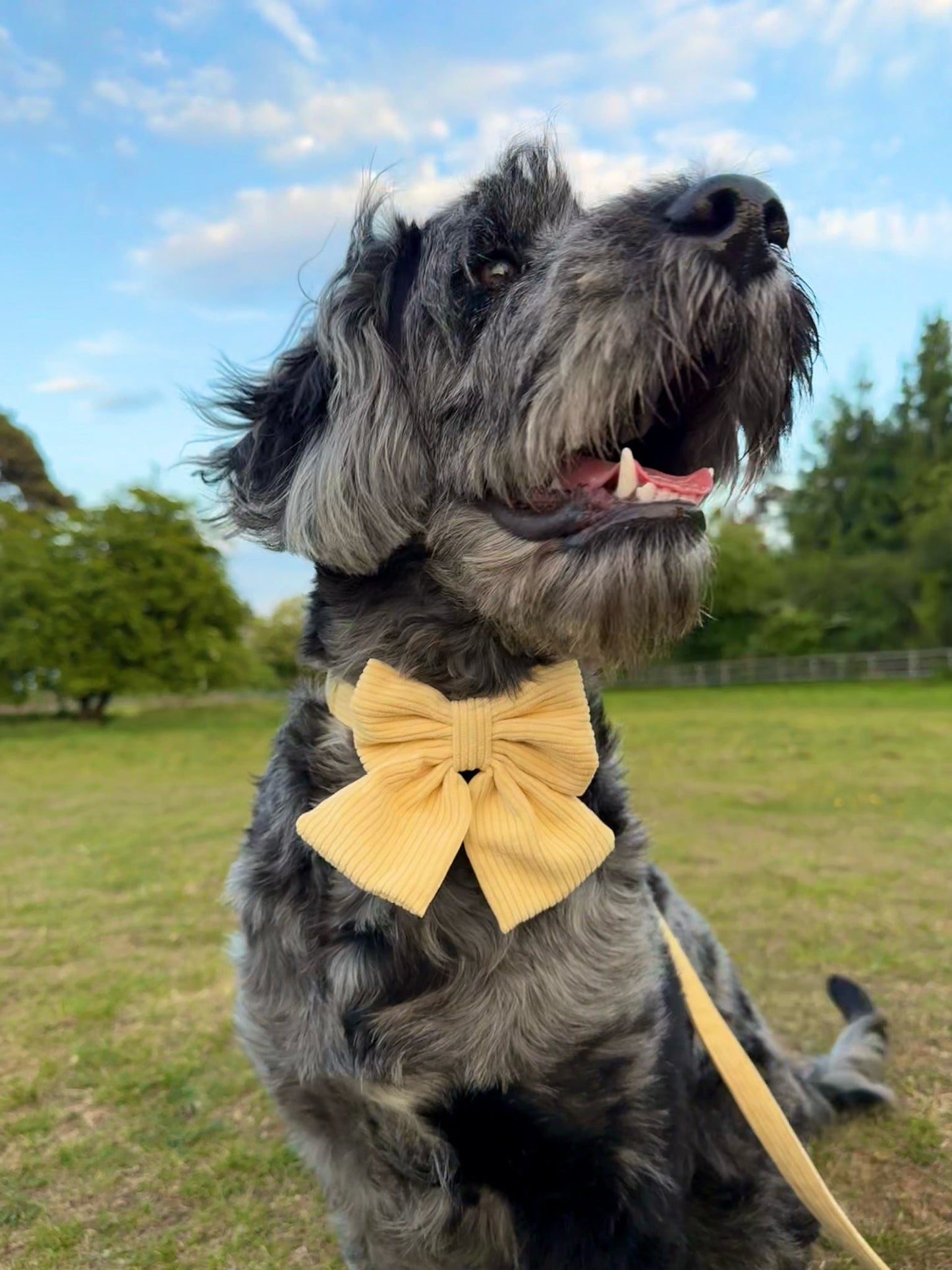 ‘Buttercream Bliss’ Sailor Bow
