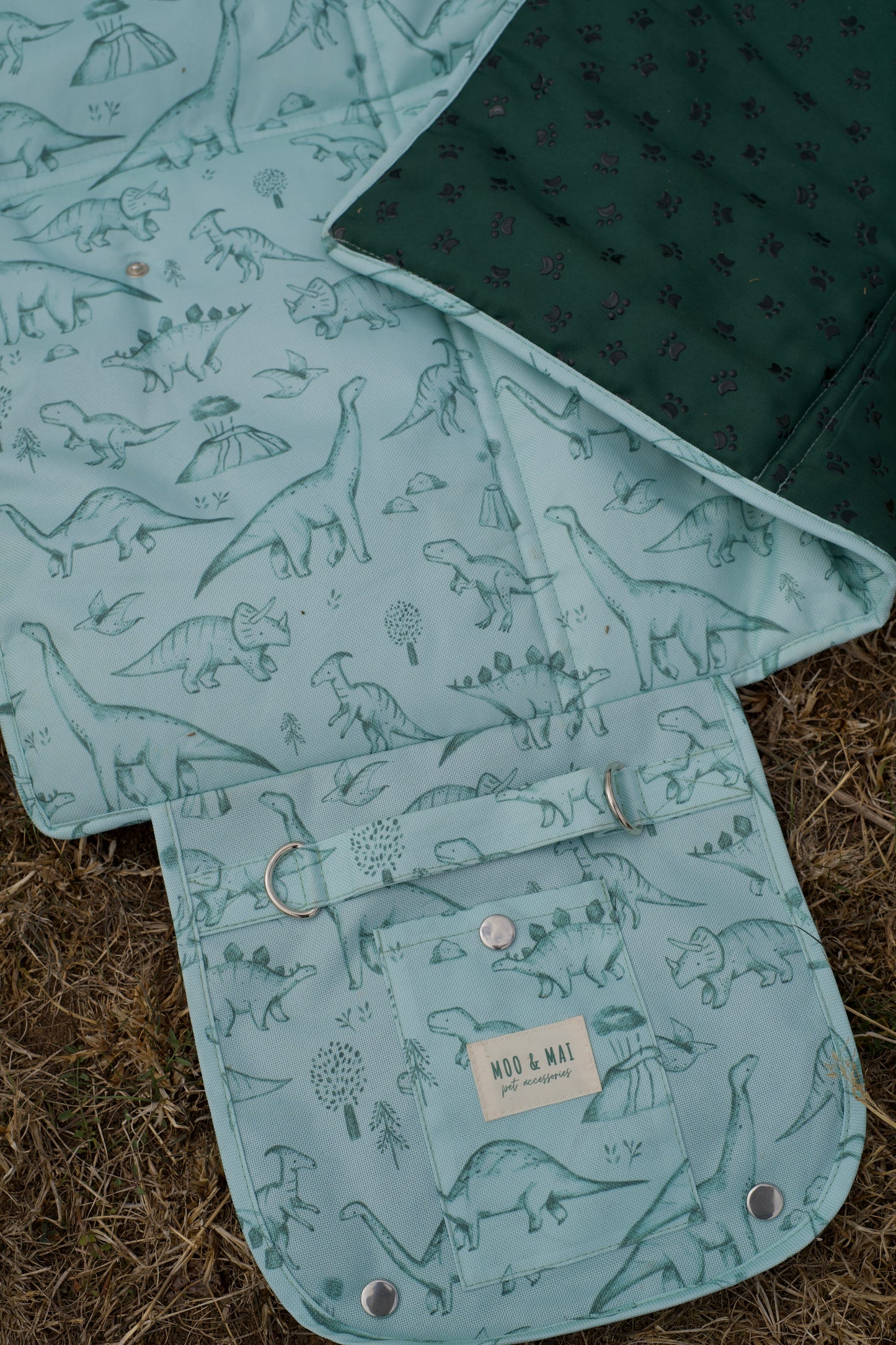 ‘Fossil & Fern’ Settle/ Travel Mat