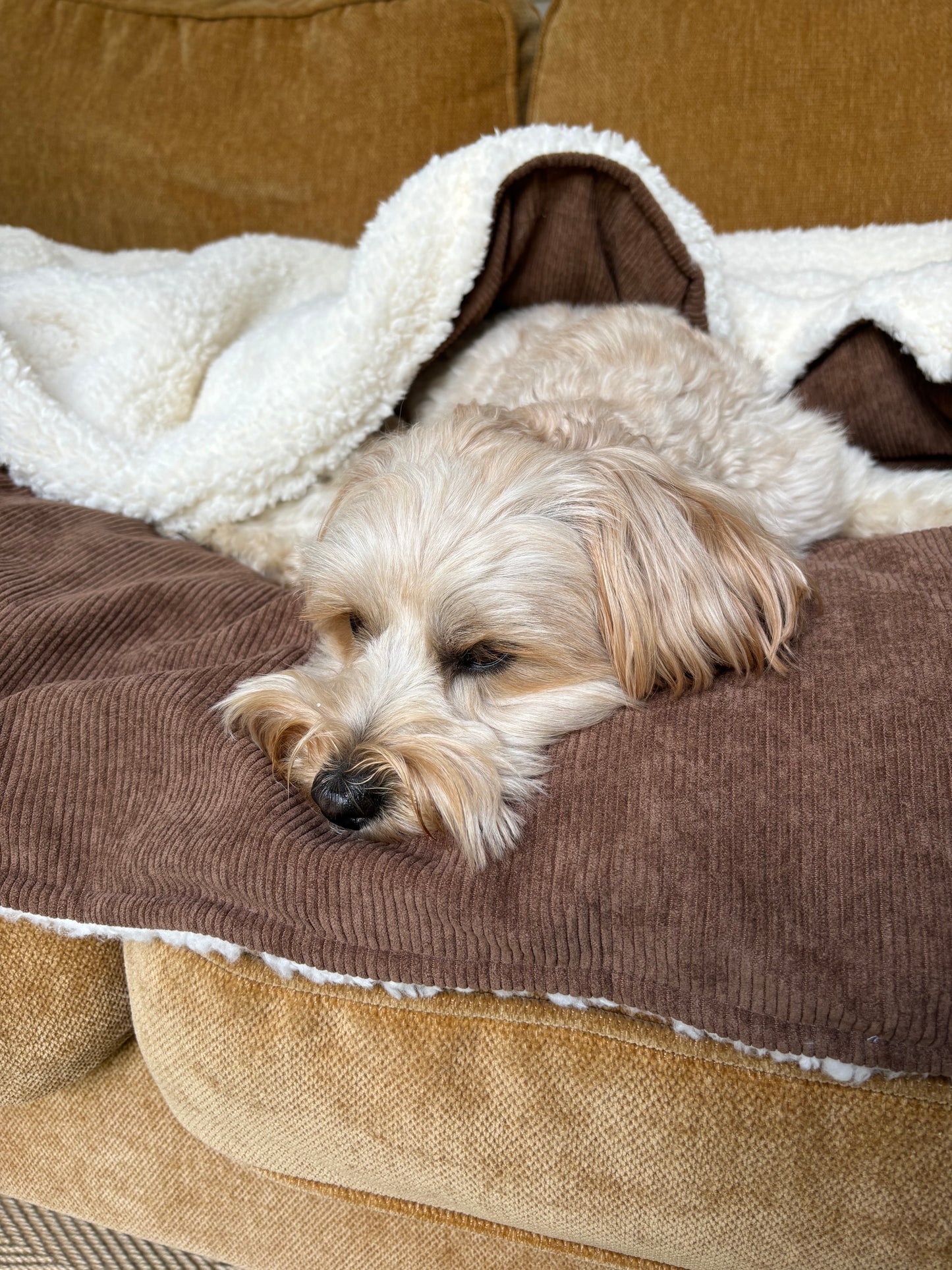 ‘Choc Chip’ Snuggle Size Blanket