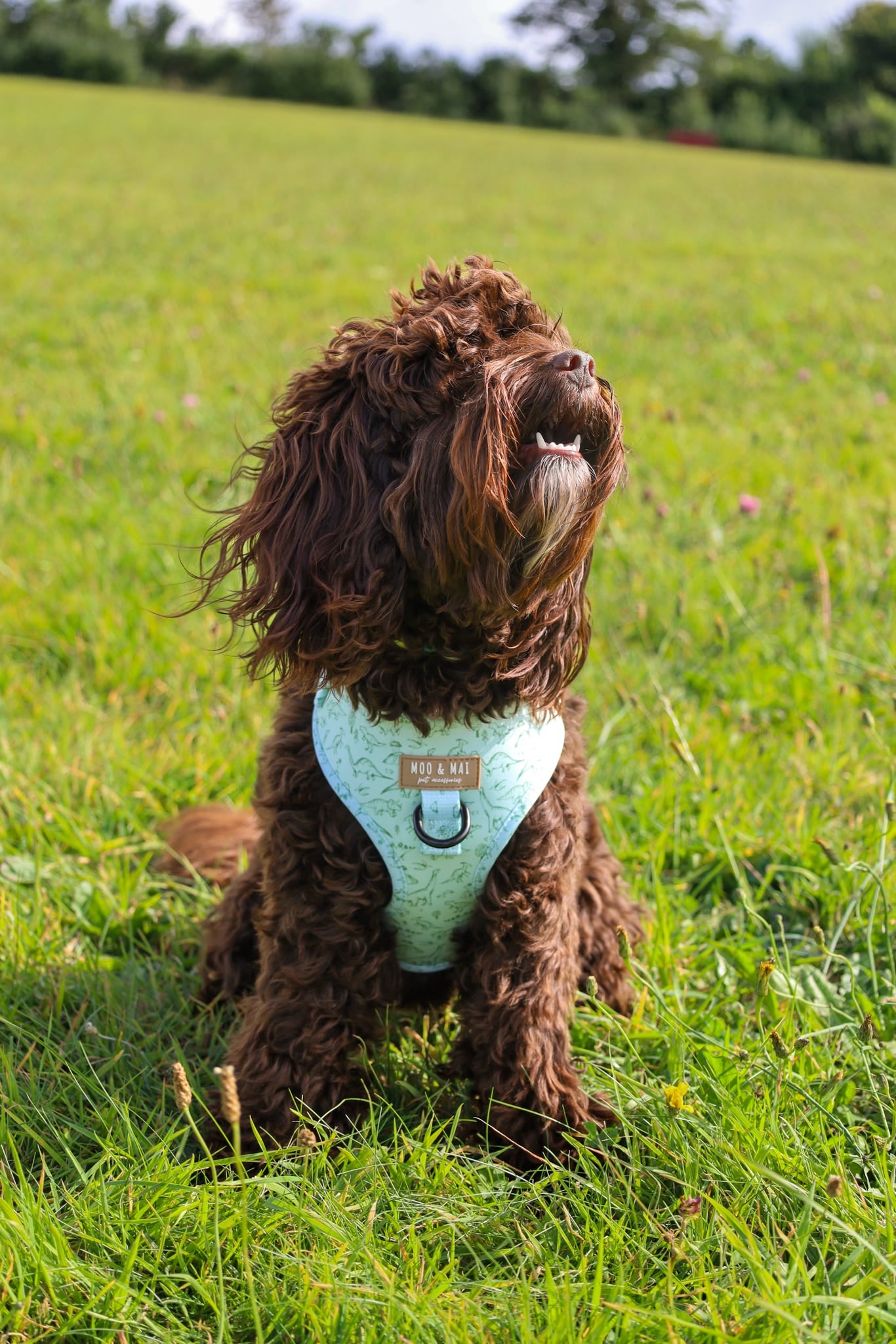 ‘Fossil & Fern’ Adjustable Harness