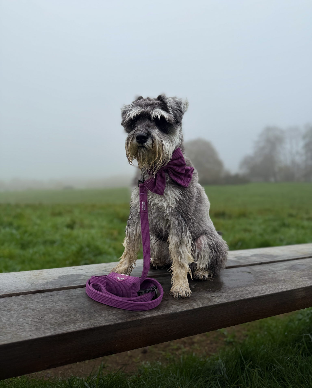 New ‘Frosted Plum’ Sailor Bow