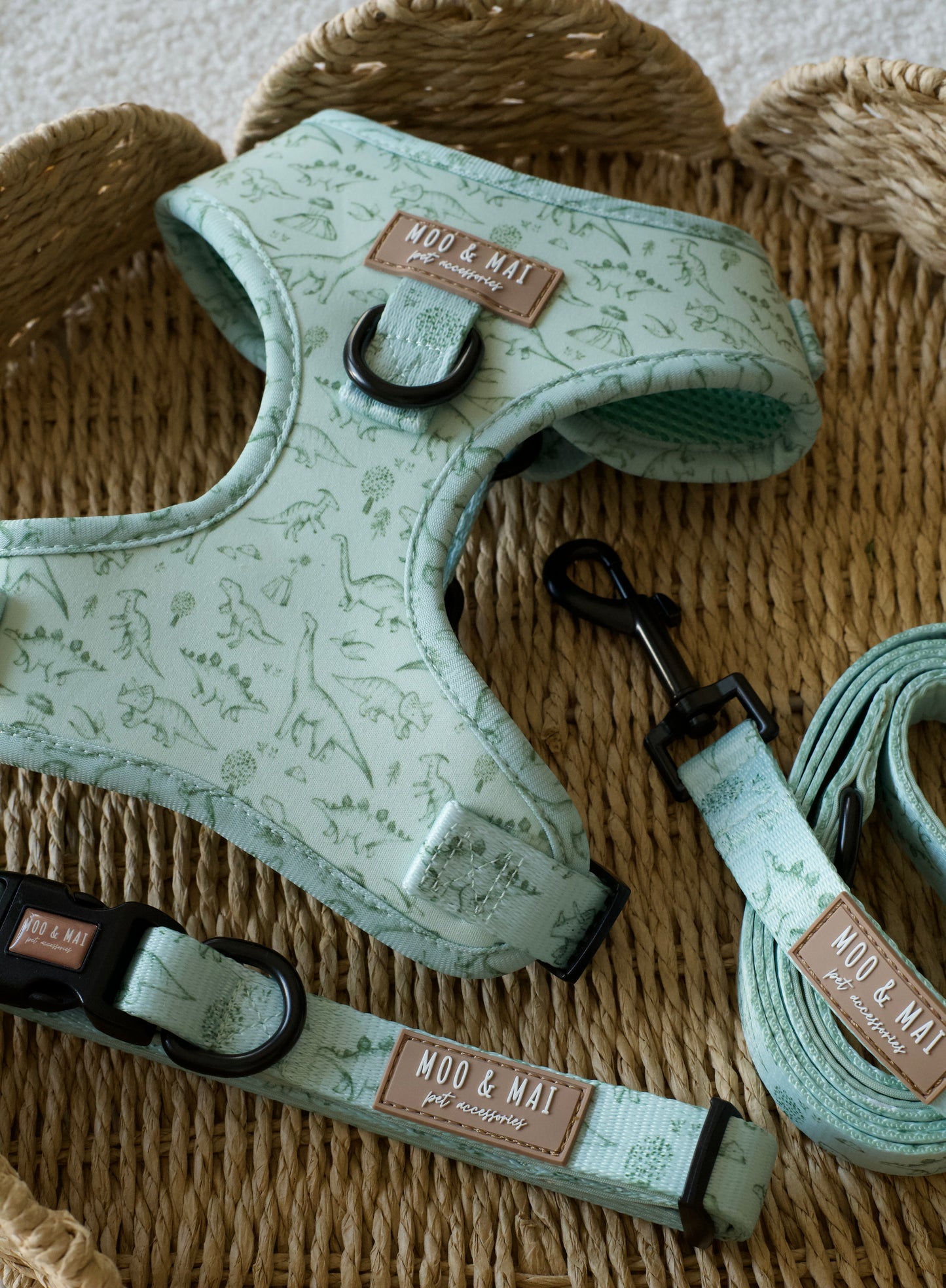 ‘Fossil & Fern’ 3 Piece Walkies Bundle