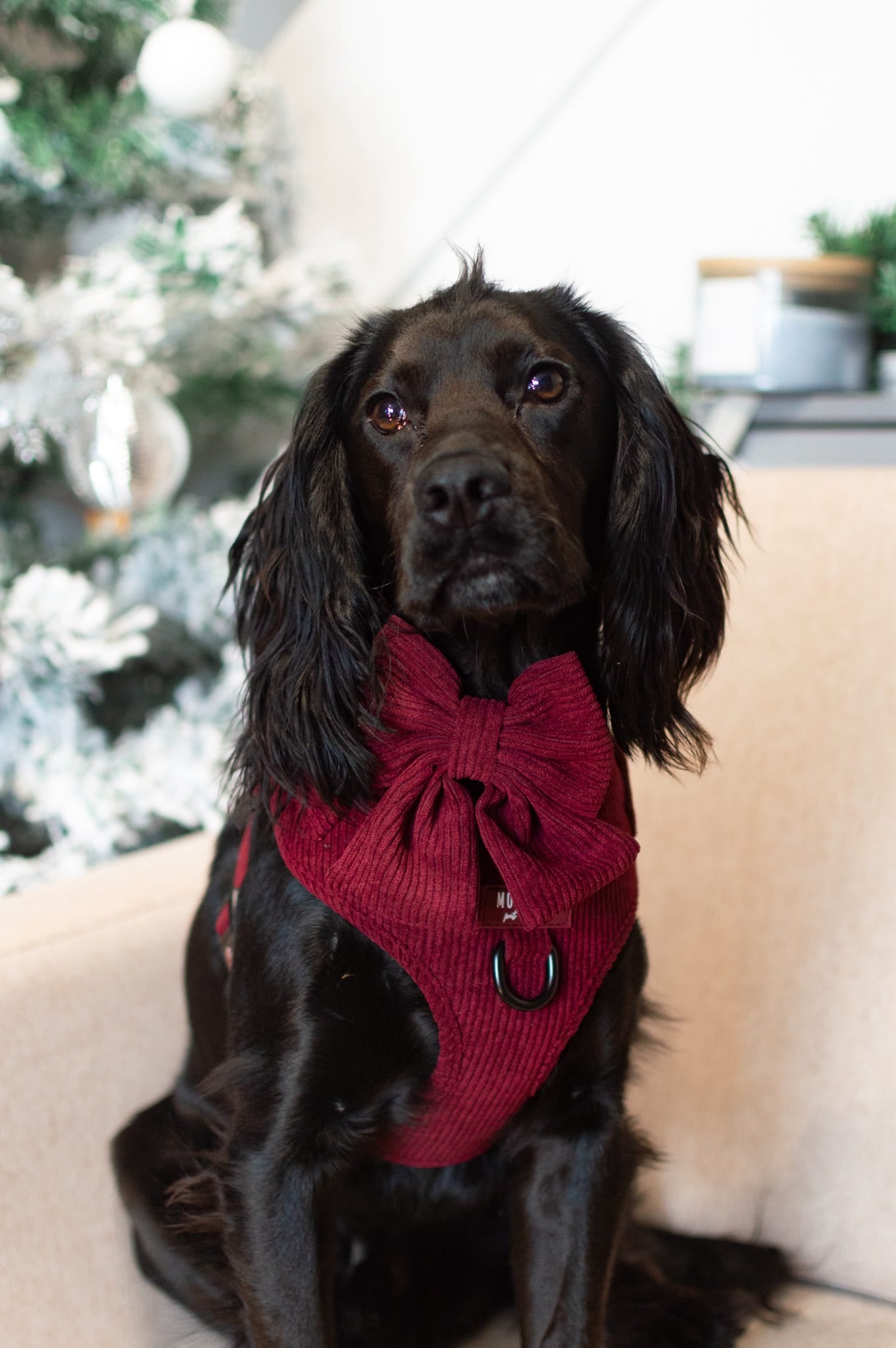 Berry Bramble - Full 5 Piece Walkies Bundle