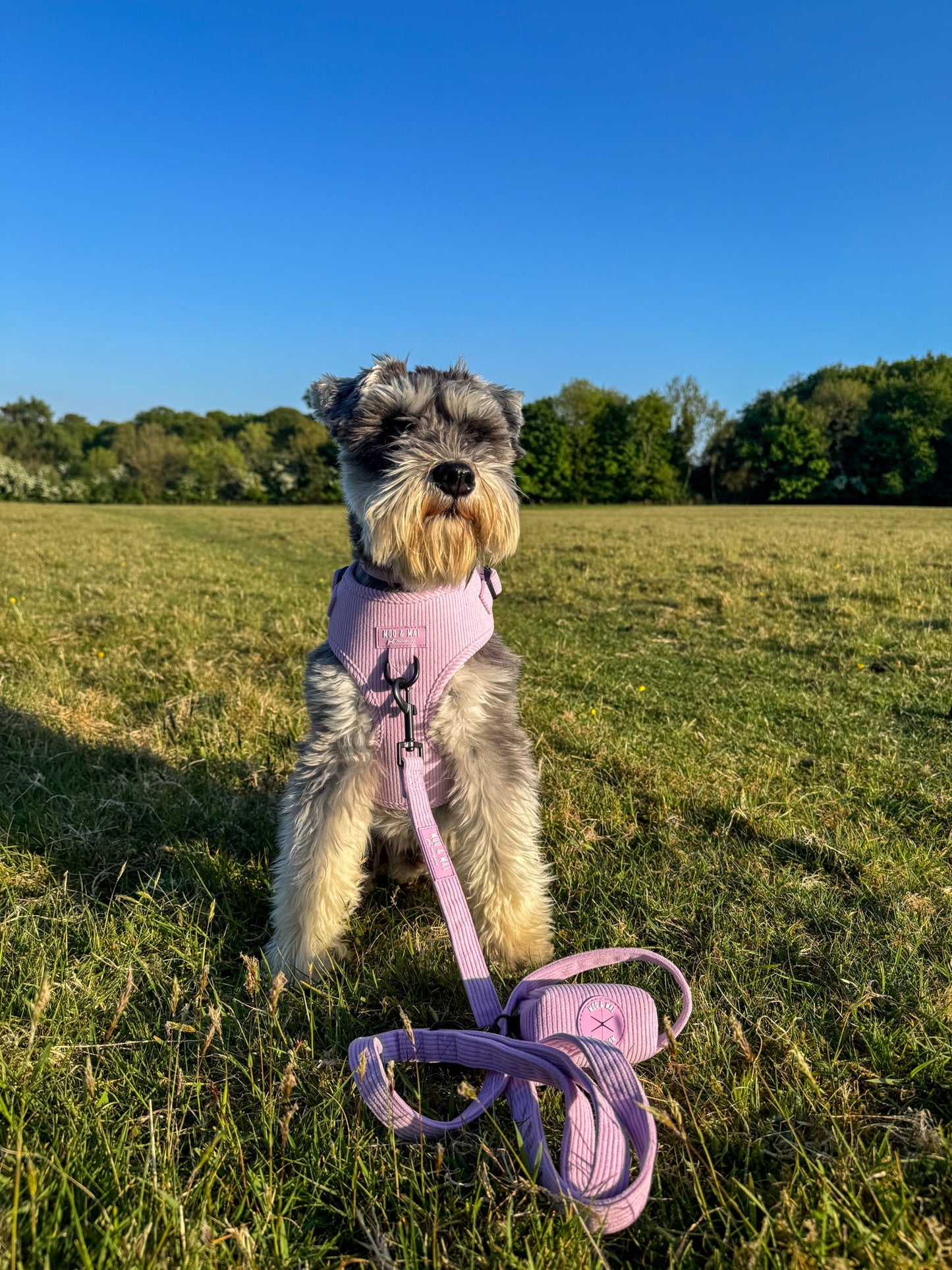 ‘Lavender Daze’ - Adjustable Harness