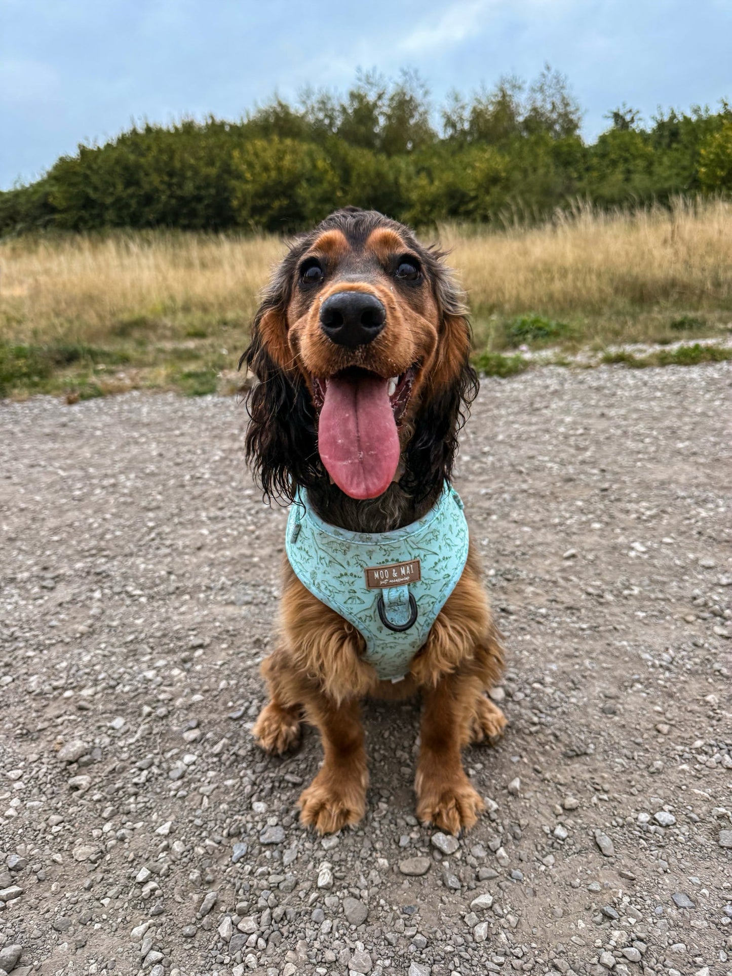 ‘Fossil & Fern’ Adjustable Harness