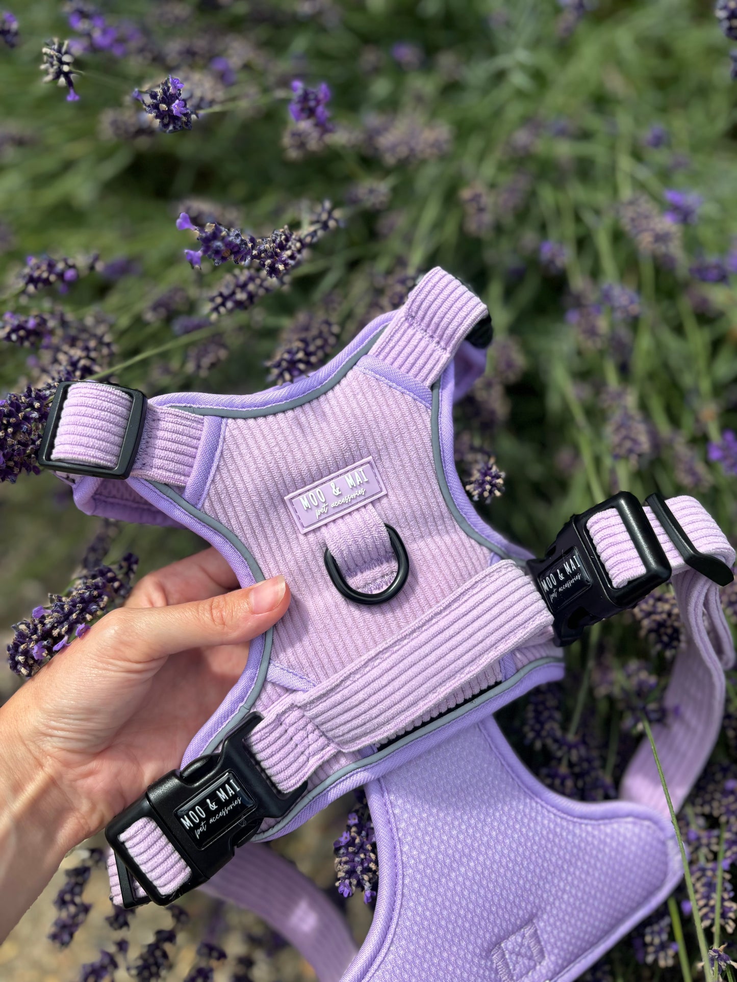 NEW 3 Click Harness - ‘Lavender Daze’