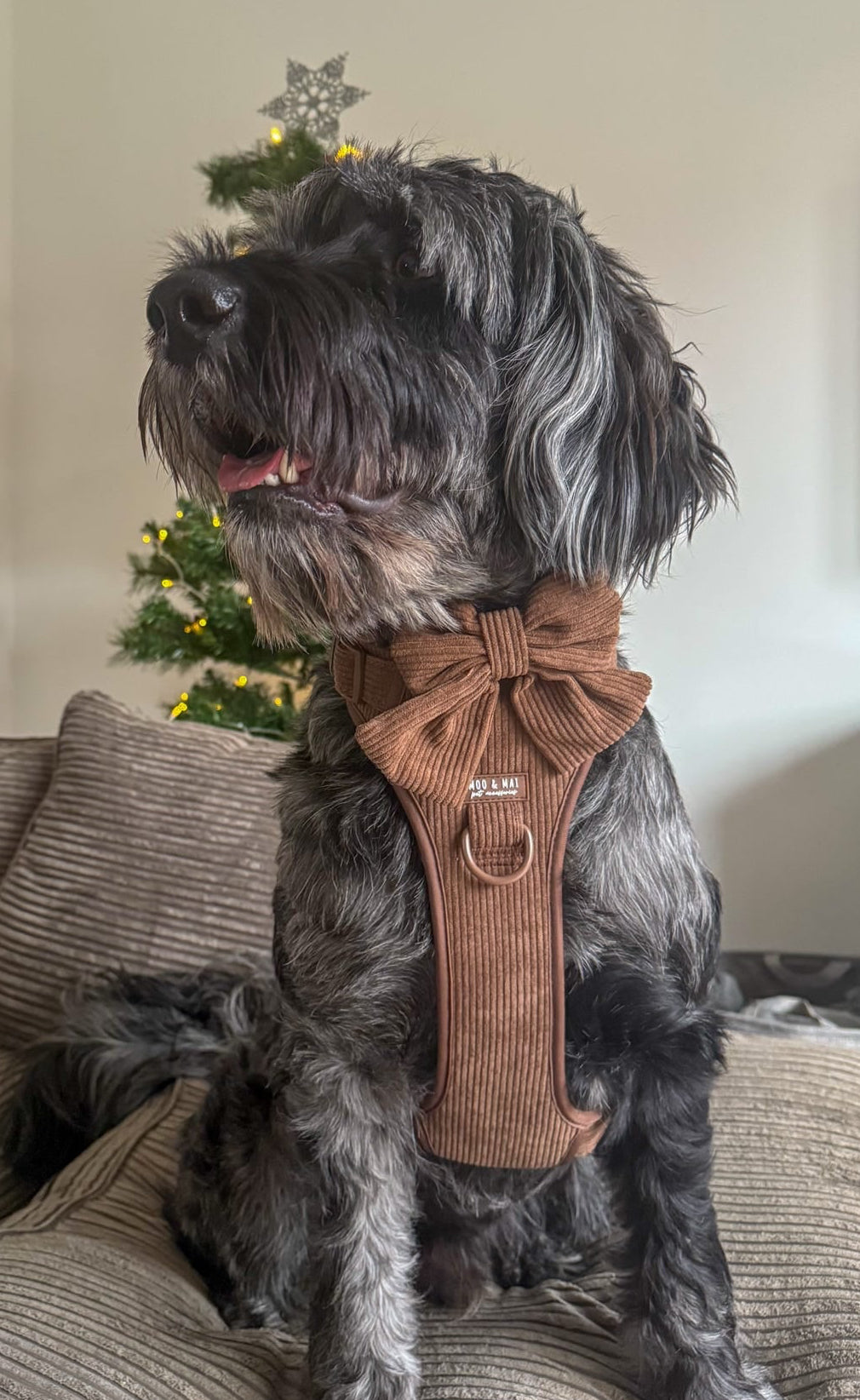 ‘Choc Chip’ Sailor Bow