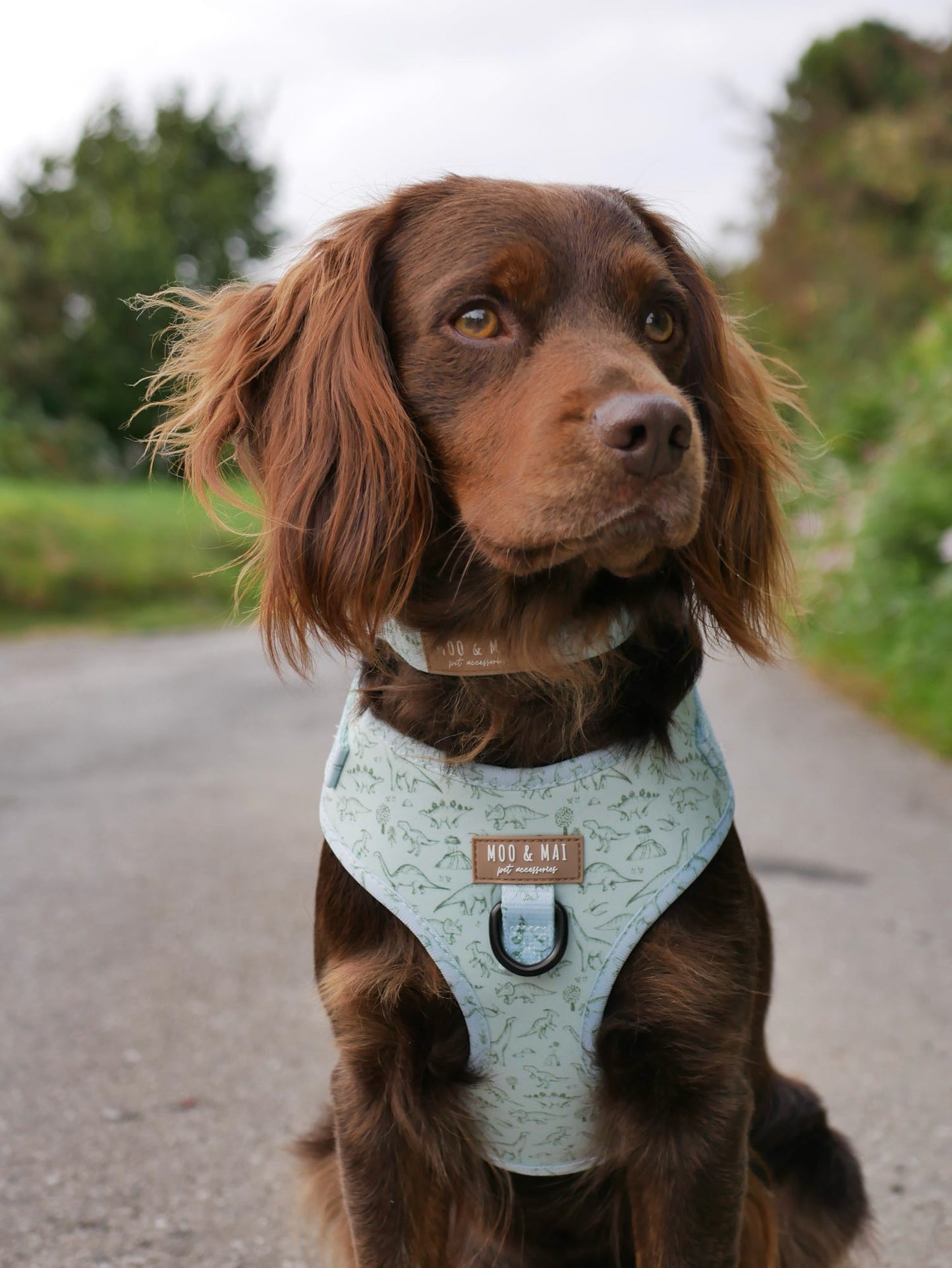 ‘Fossil & Fern’ Adjustable Harness