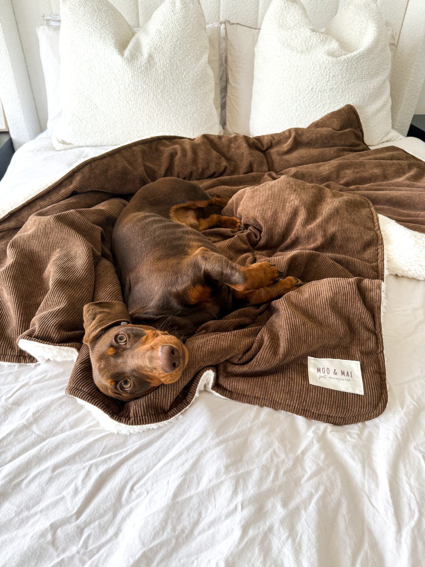 ‘Choc Chip’ Snuggle Size Blanket