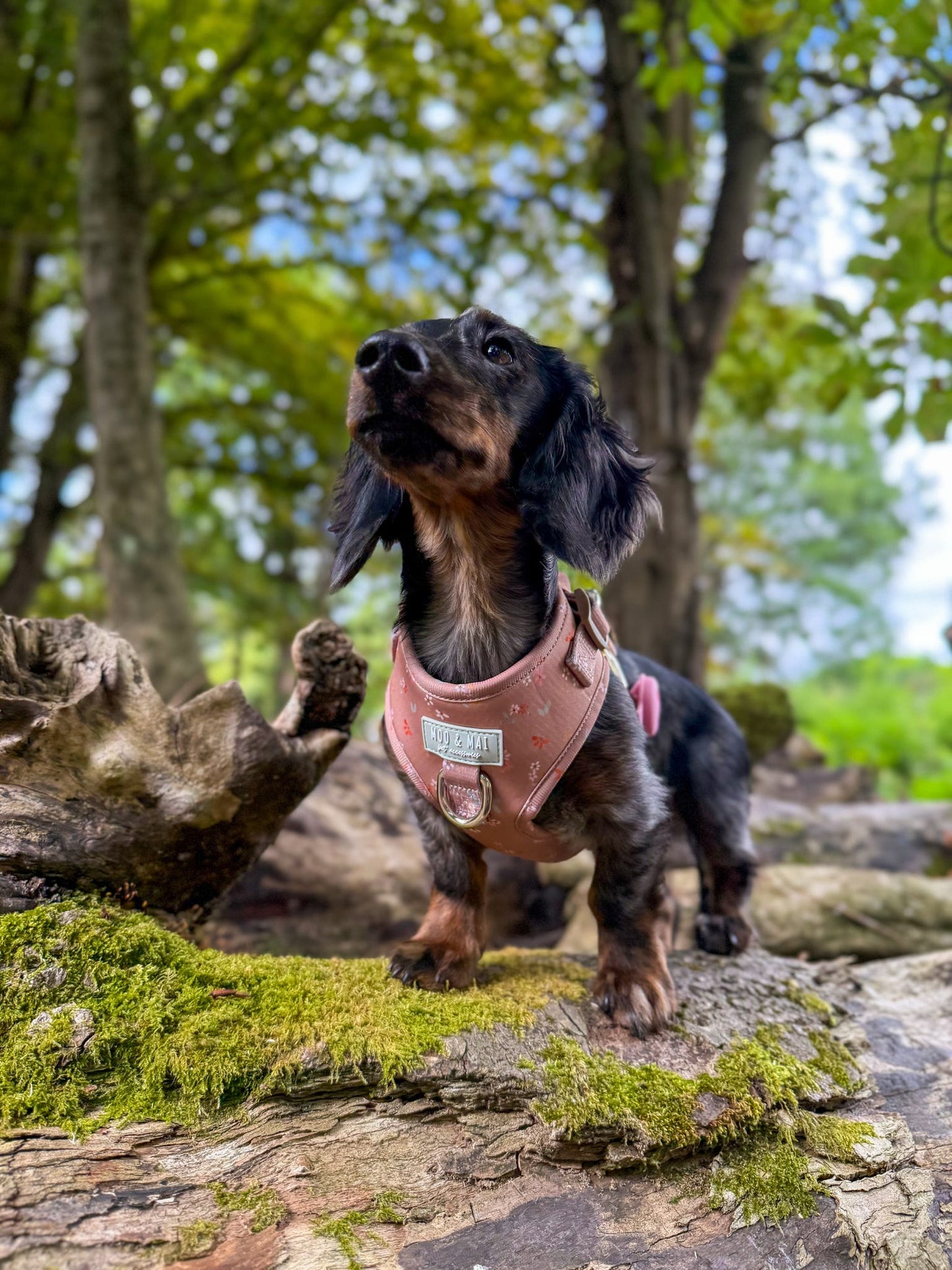 ‘Woodland Bloom’ Adjustable Harness