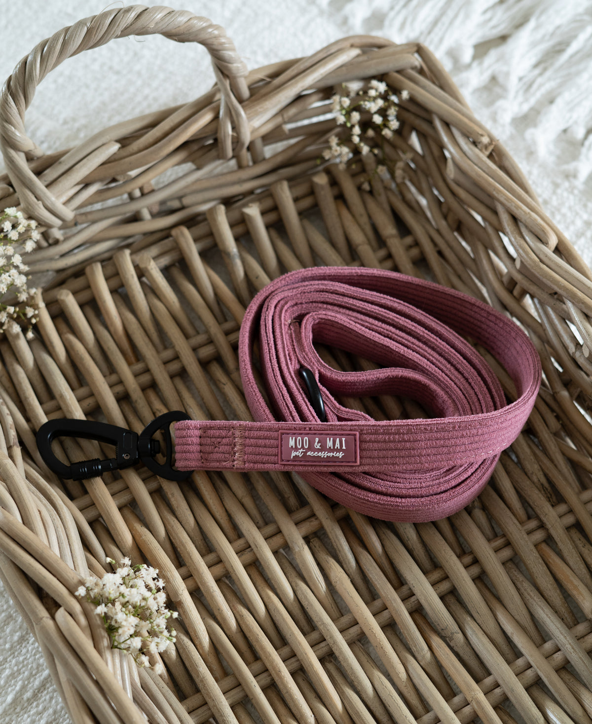 'Raspberry Ripple' Lead