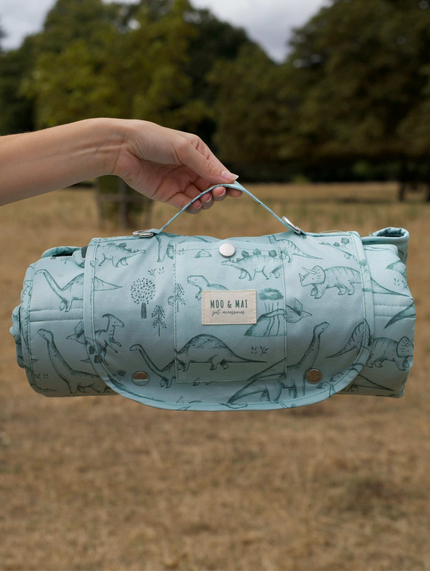 ‘Fossil & Fern’ Settle/ Travel Mat