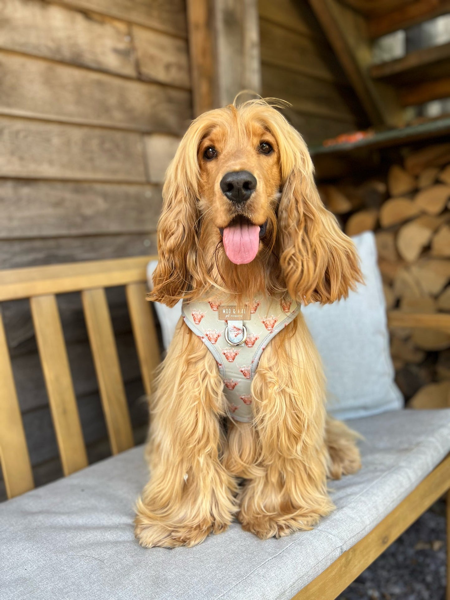 ‘Milo Moo’ Adjustable Harness
