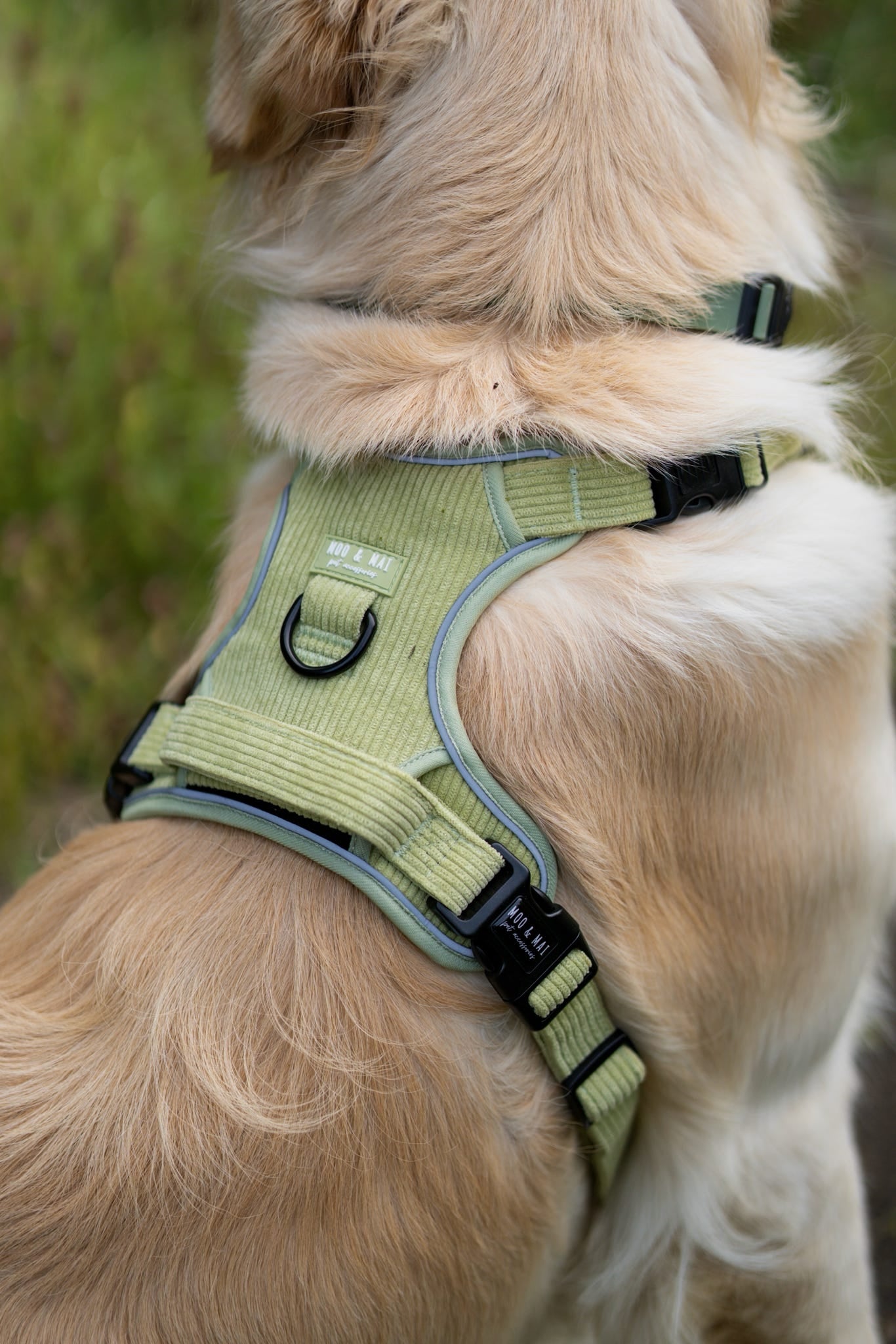 NEW 3 Click Harness - ‘Pistachio Paws’