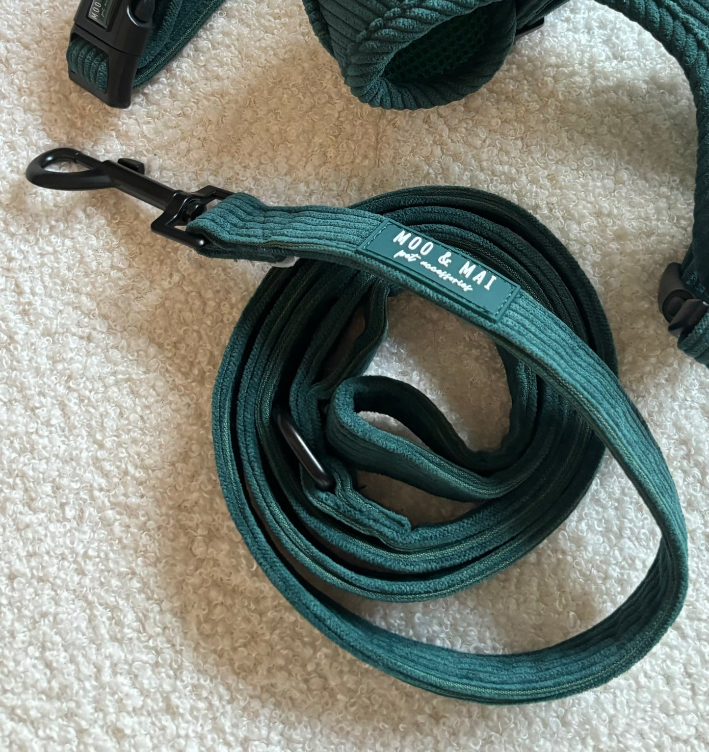 ‘Midnight Moss’ Lead