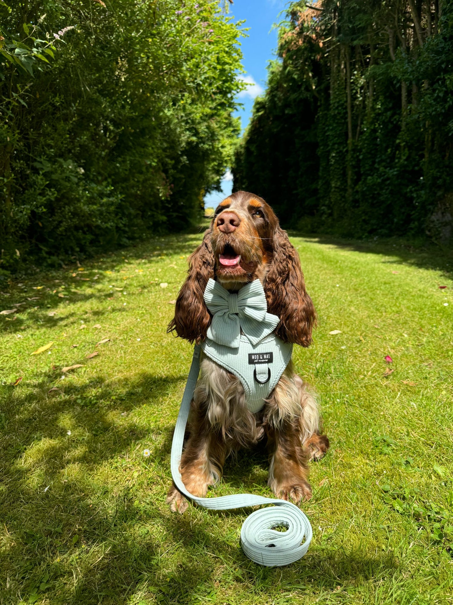‘Seafoam Blue’ Sailor Bow
