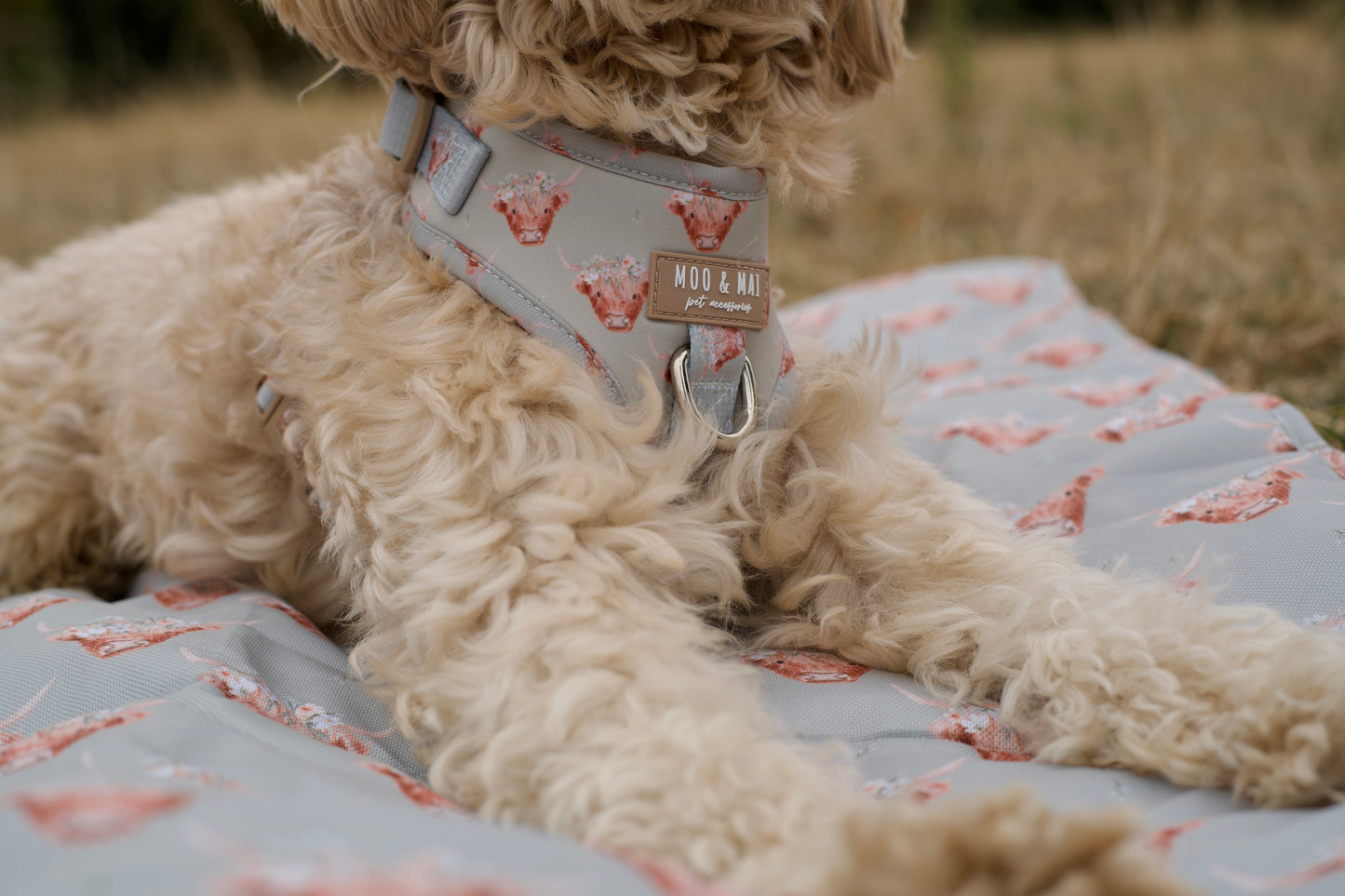 ‘Milo Moo’ Adjustable Harness