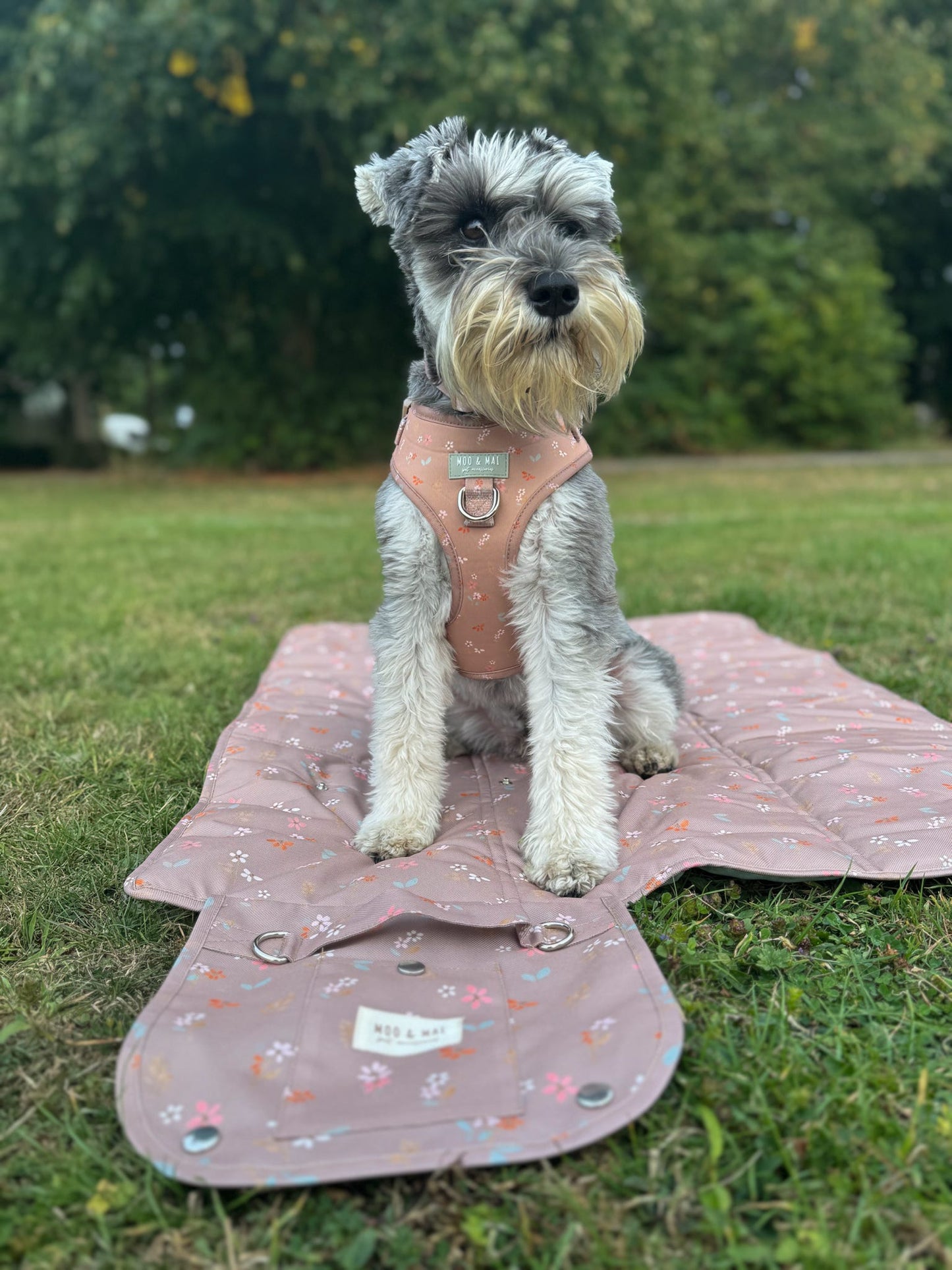 ‘Woodland Bloom’ Settle/ Travel Mat