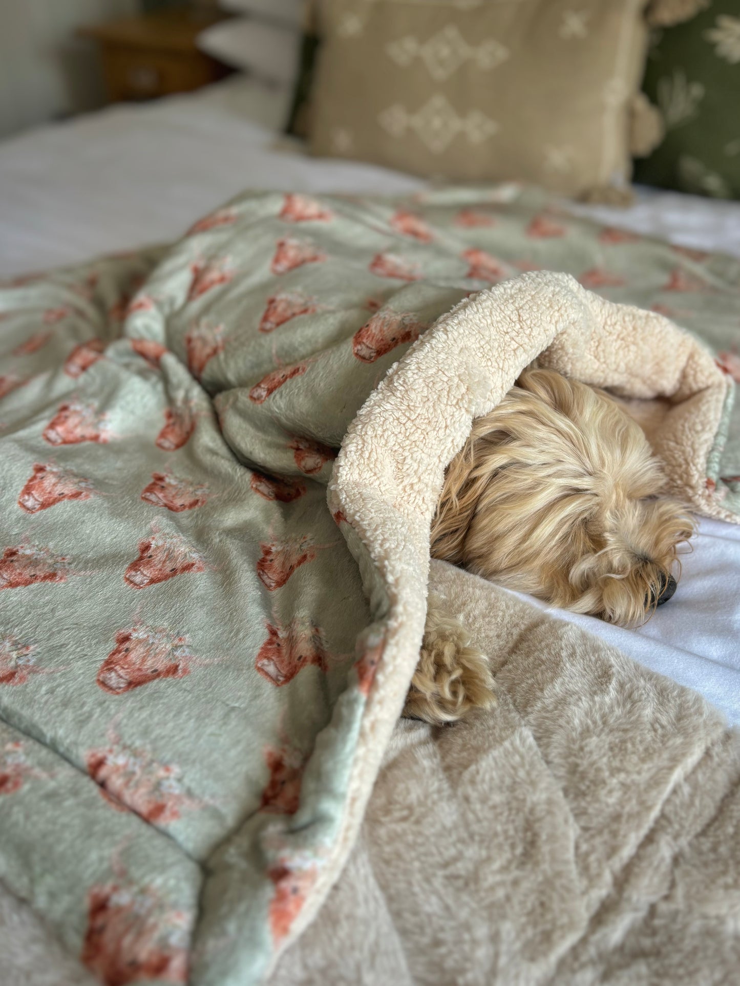 ‘Milo Moo’ Sherpa Blanket