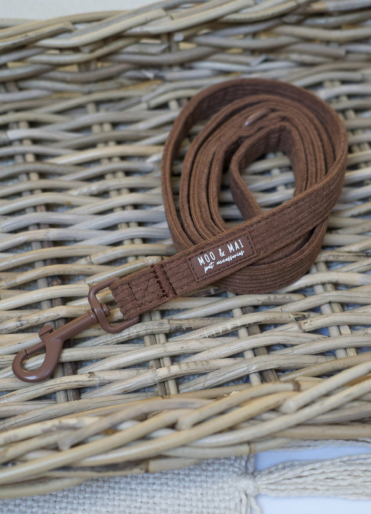 New ‘Choc Chip’ Lead