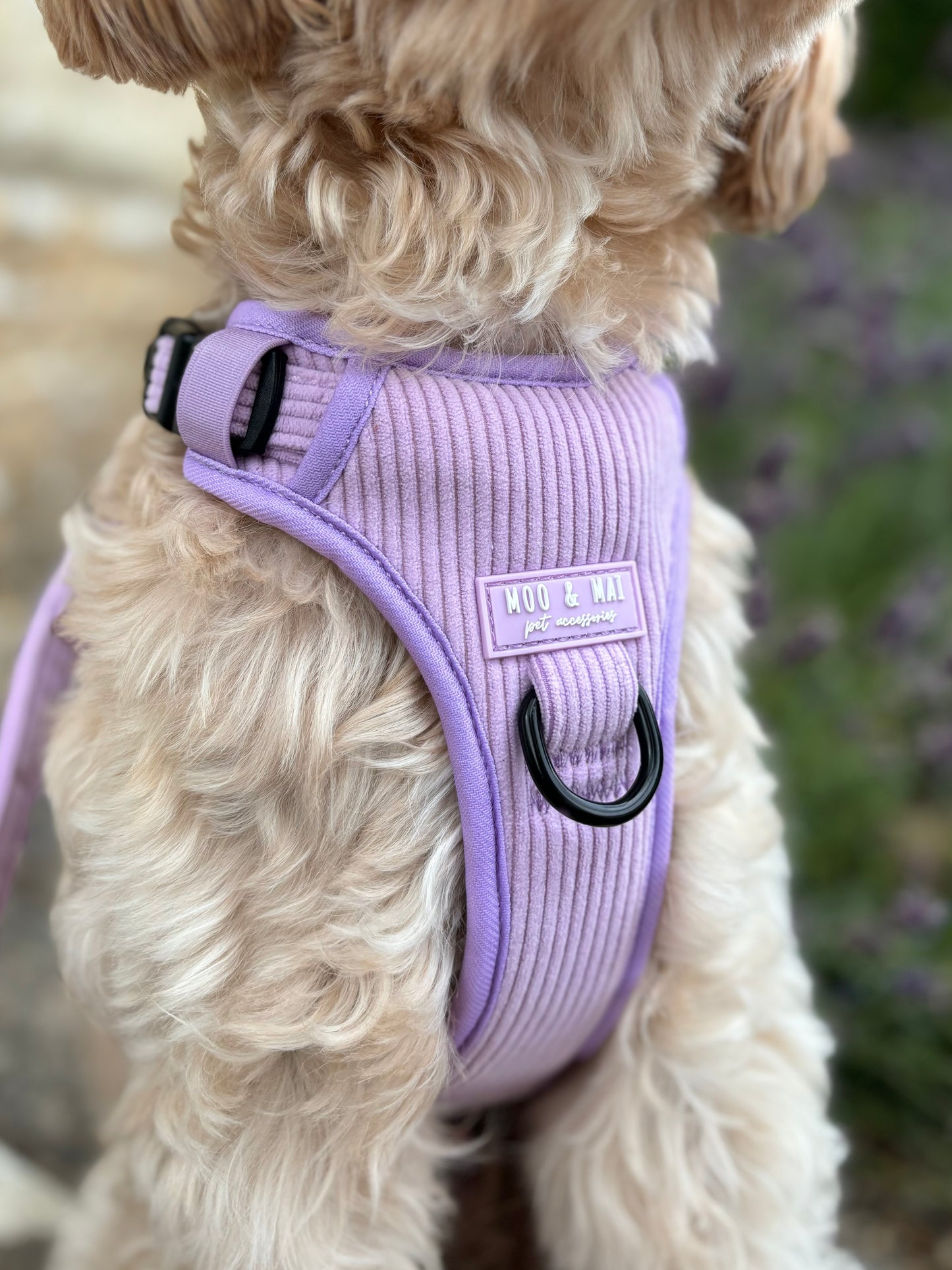NEW 3 Click Harness - ‘Lavender Daze’