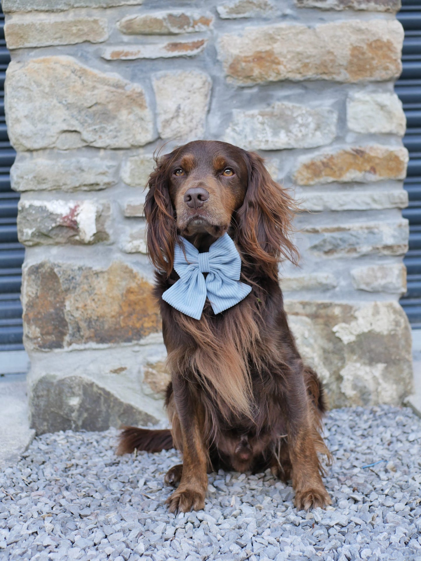 'Seasalt Blue' Sailor Bow