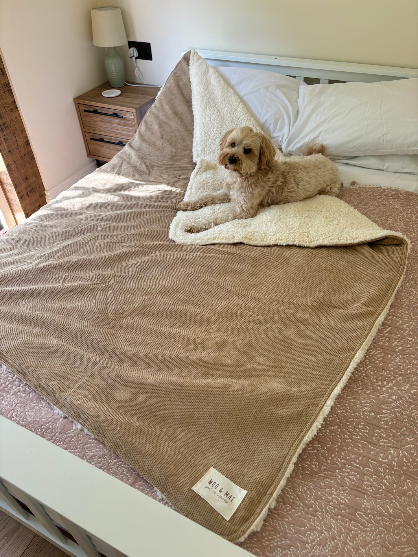 ‘Sandy Shores’ - Snuggle Size Blanket